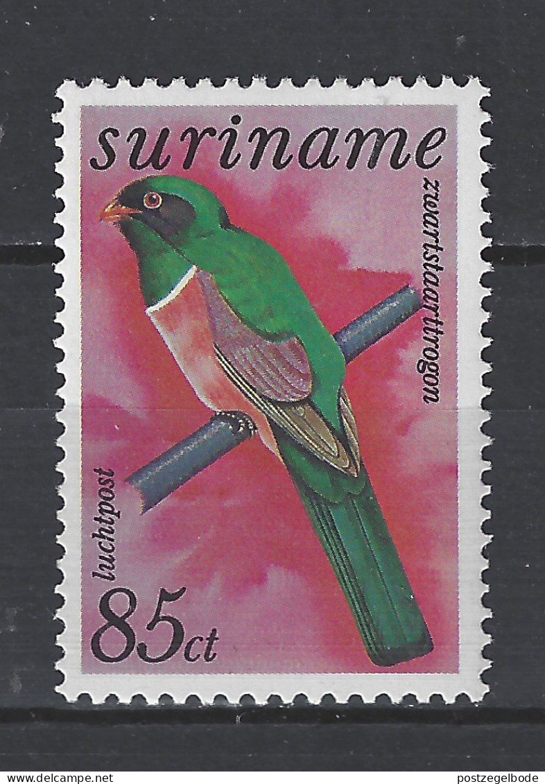 Suriname MLH ; Trogon Vogel Bird Ave Oiseau - Perroquets & Tropicaux