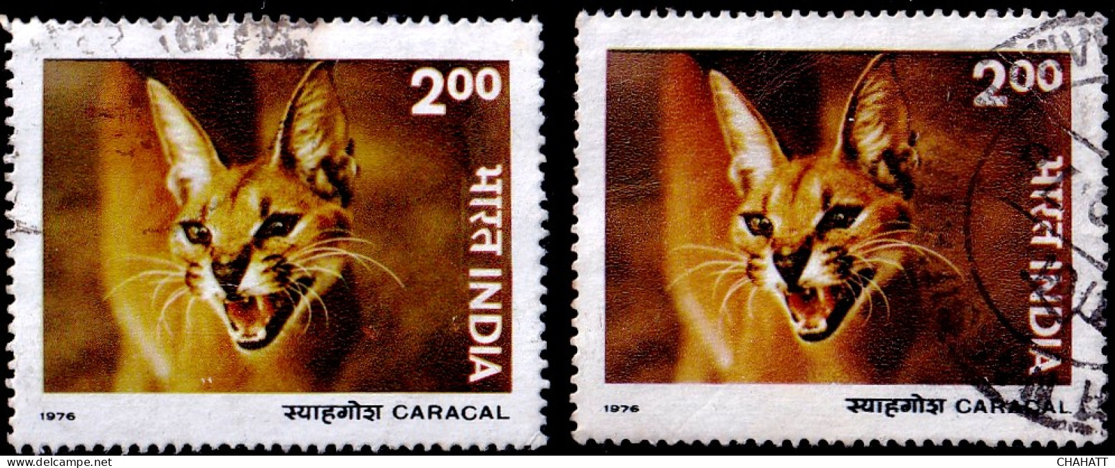 INDIA-1976-WILDLIFE- CARACAL- 2x COLOR VARIETY- FU- IE-23 - Variétés Et Curiosités