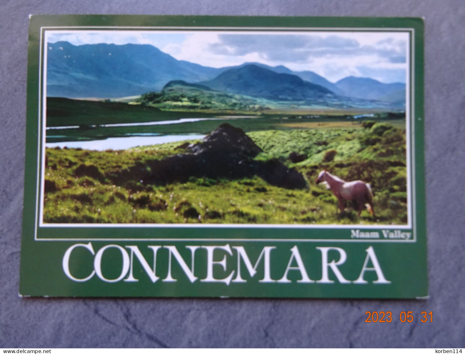 CONNEMARA - Galway