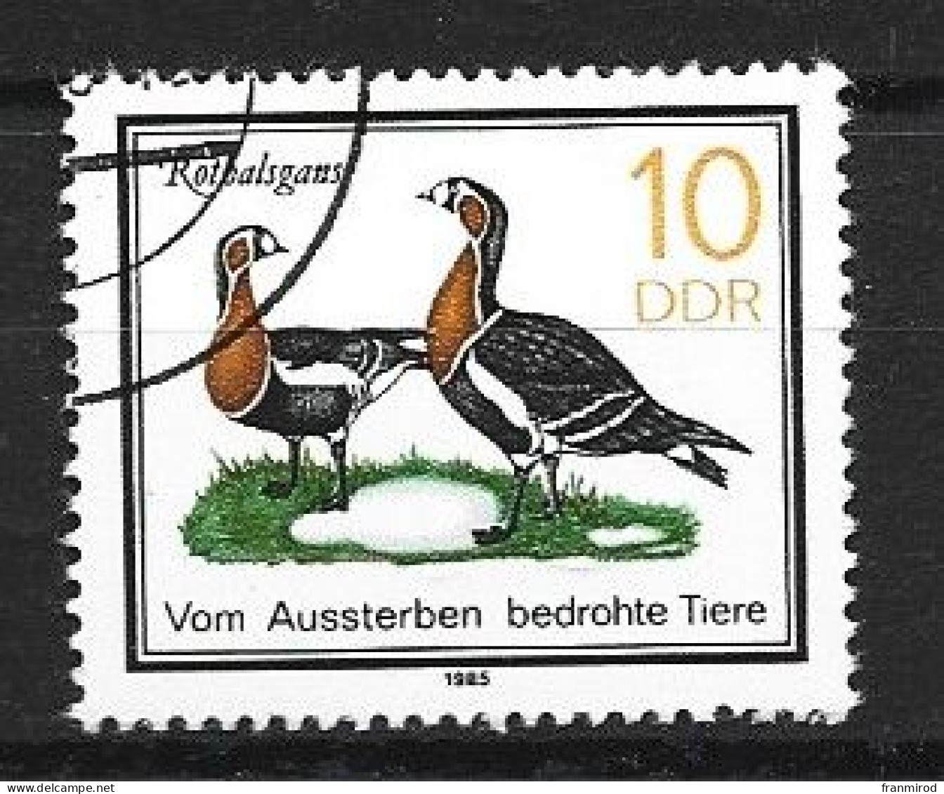 Rda 1985 N 2577 (yv)les Oies Oblitéré Sans Trace De Charniere - Geese