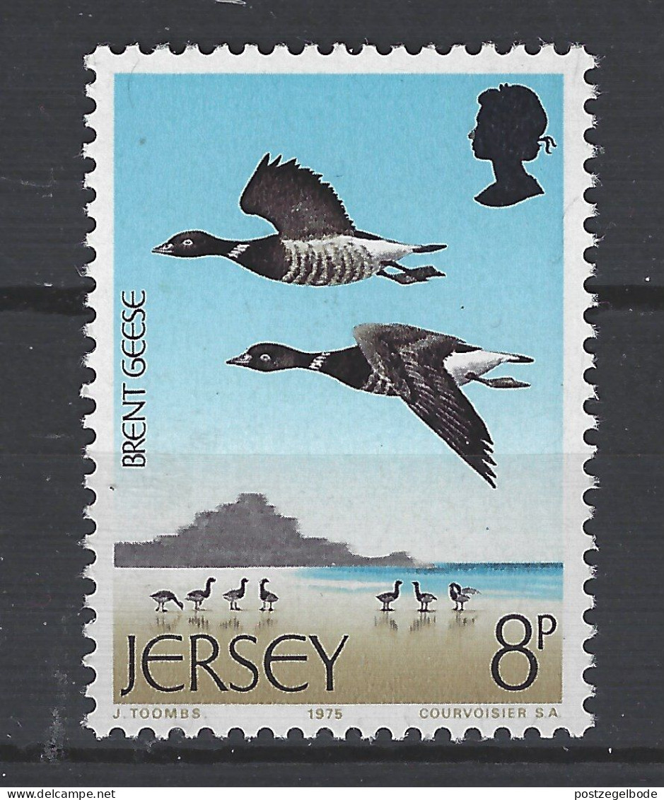 Jersey MNH ; Brandgans Gans Goose Oie Ganso Vogel Bird Ave Oiseau - Oies