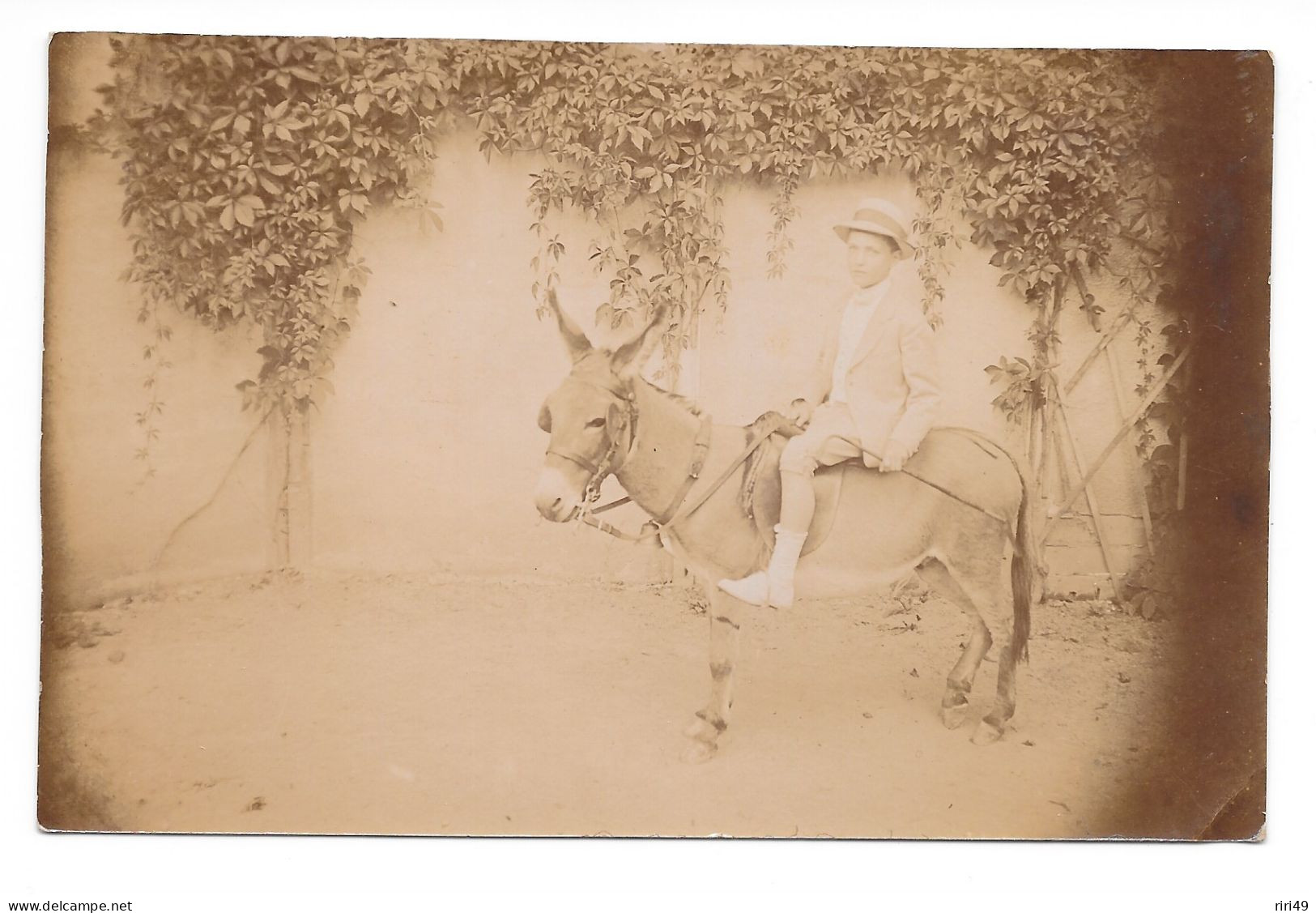 Cpa Carte Photo, Enfant Sur Son âne, Photographe L.PUISSANT à Lyon, Dos Vierge Et Divisé - Taferelen En Landschappen