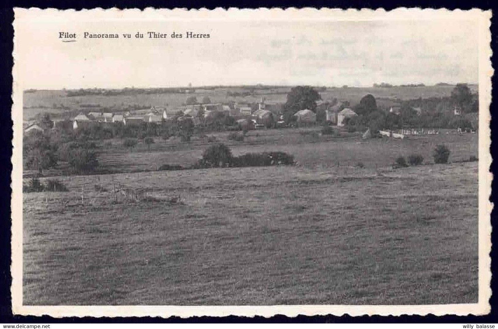 +++ CPA - FILOT - Hamoir - Panorama Vu Du Thier Des Herres  // - Hamoir