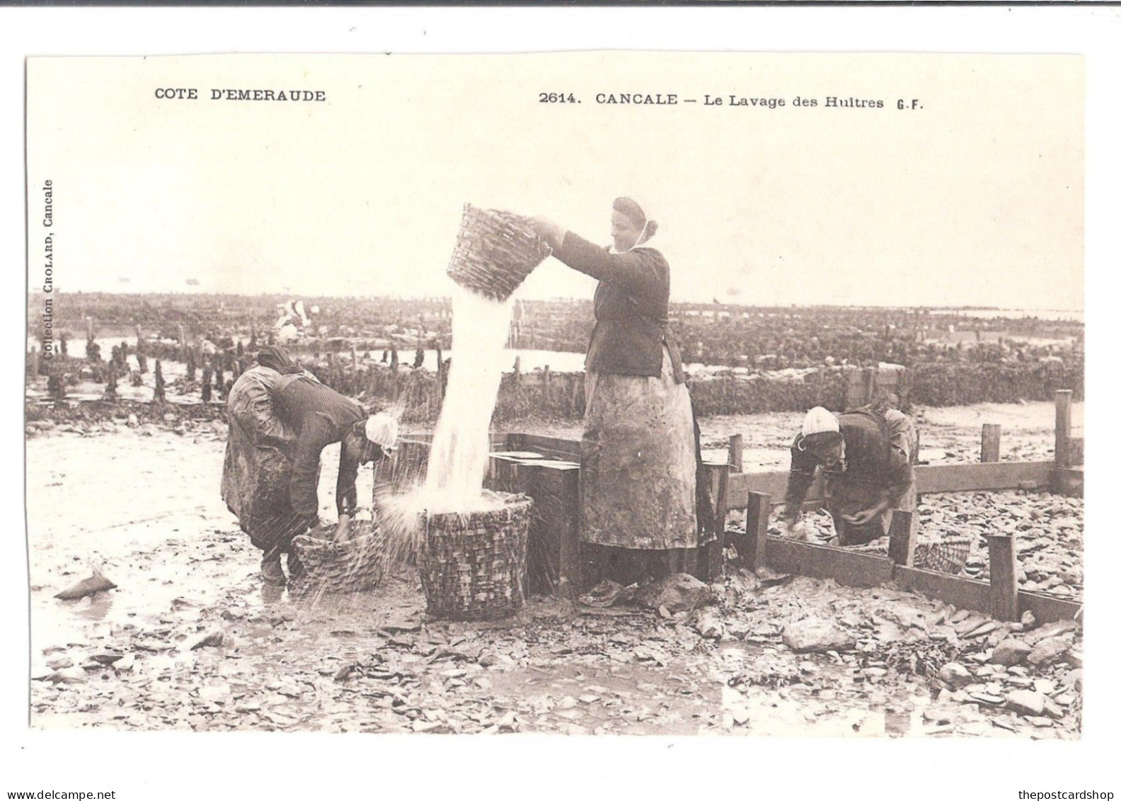 CPA 35 Cancale - Côte D'Emeraude - Le Lavage Des Huitres TRES ANIMEE - Cancale