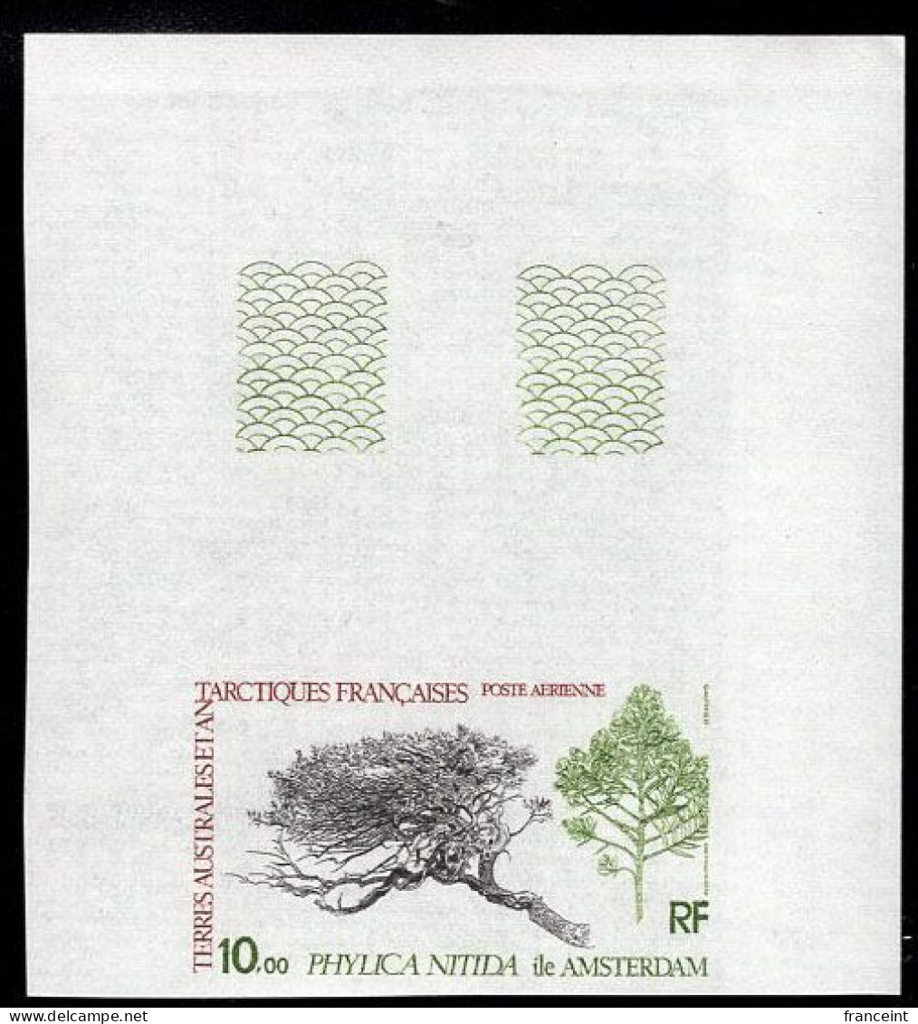 F.S.A.T. (1979) Phylika Tree. Corner Imperforate. Scott No C59, Yvert No PA60. - Ongetande, Proeven & Plaatfouten