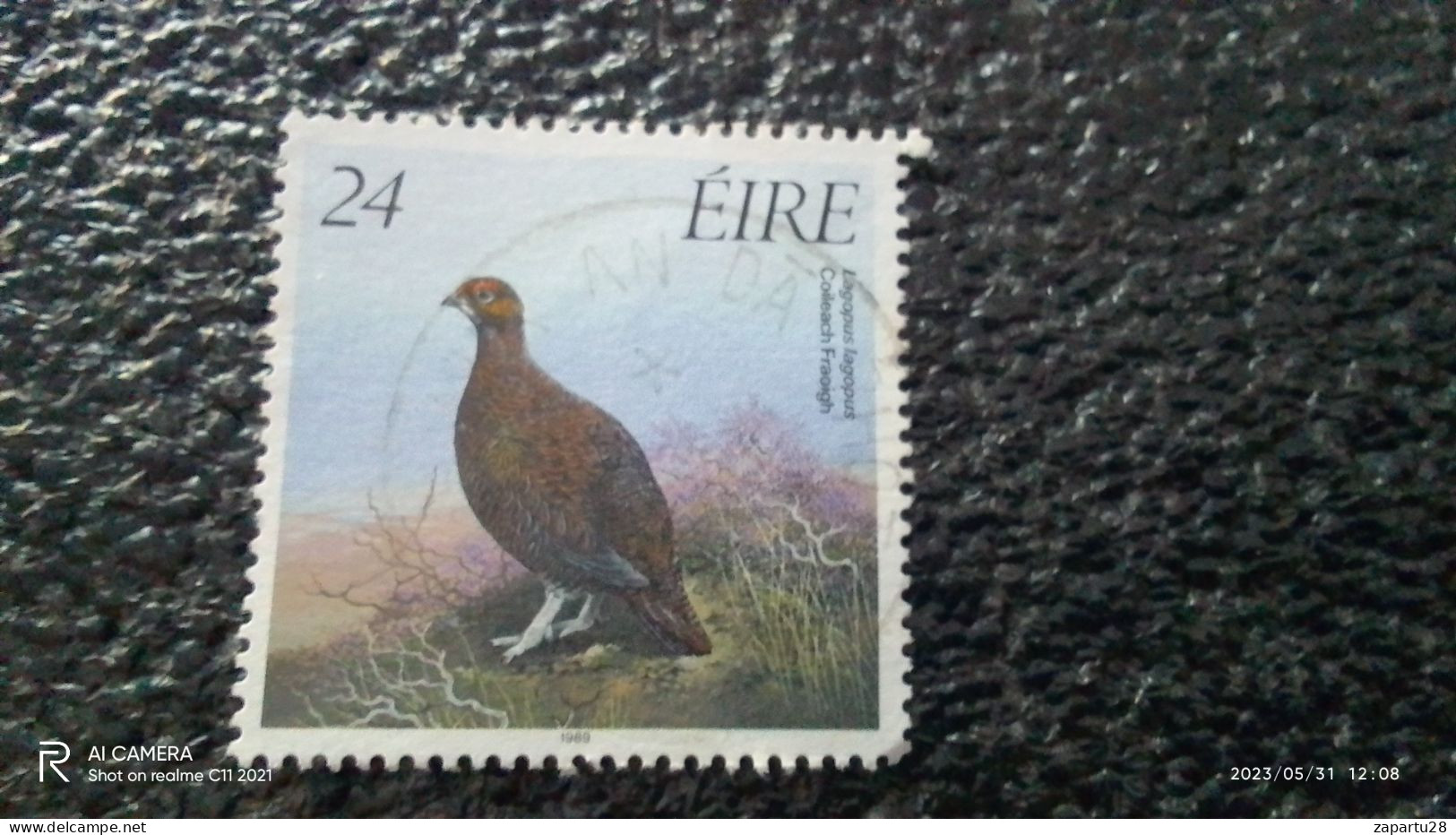 IRLANDA--2000-10     24P         USED - Used Stamps