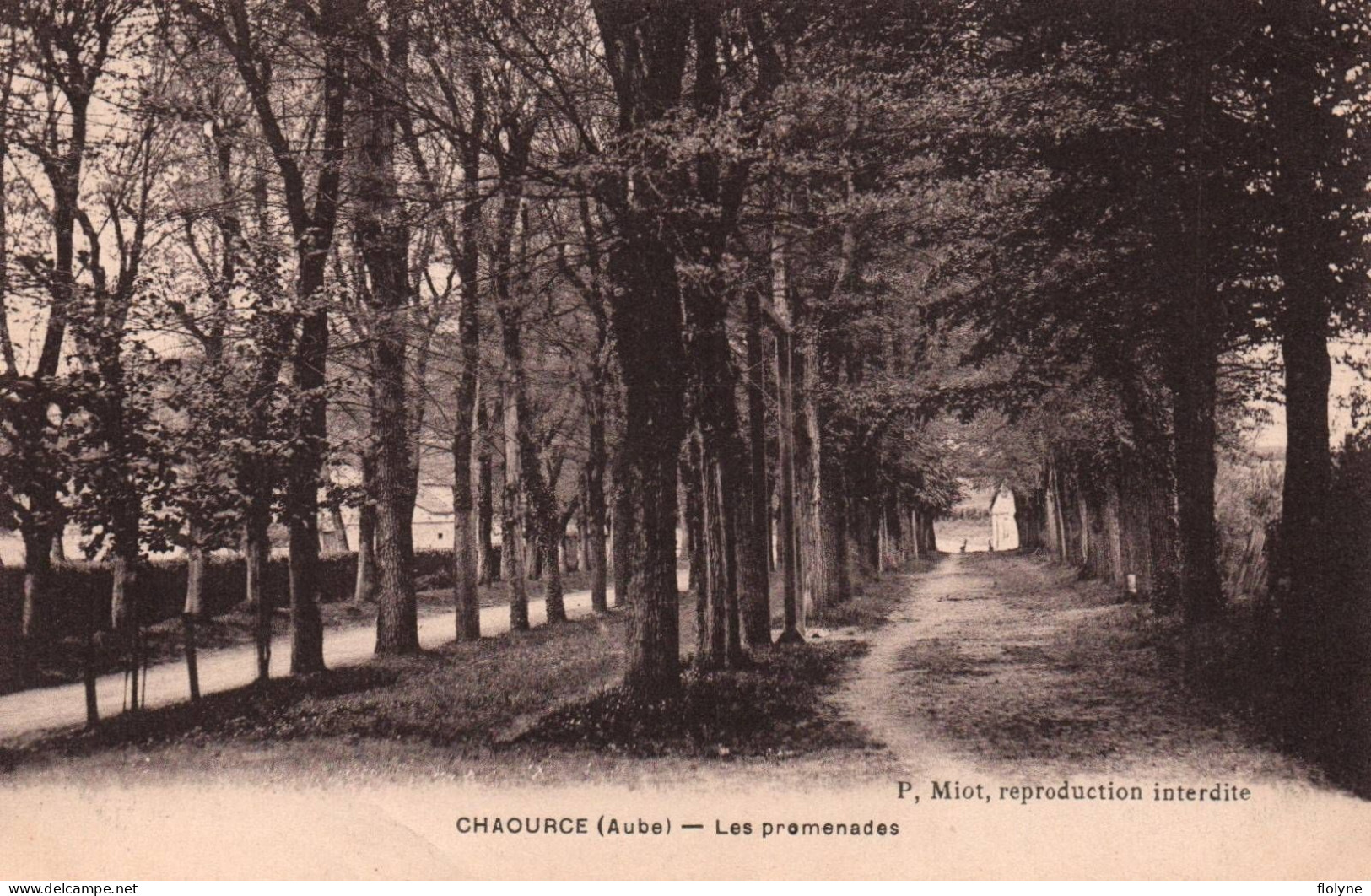 Chaource - Les Promenades - Chaource