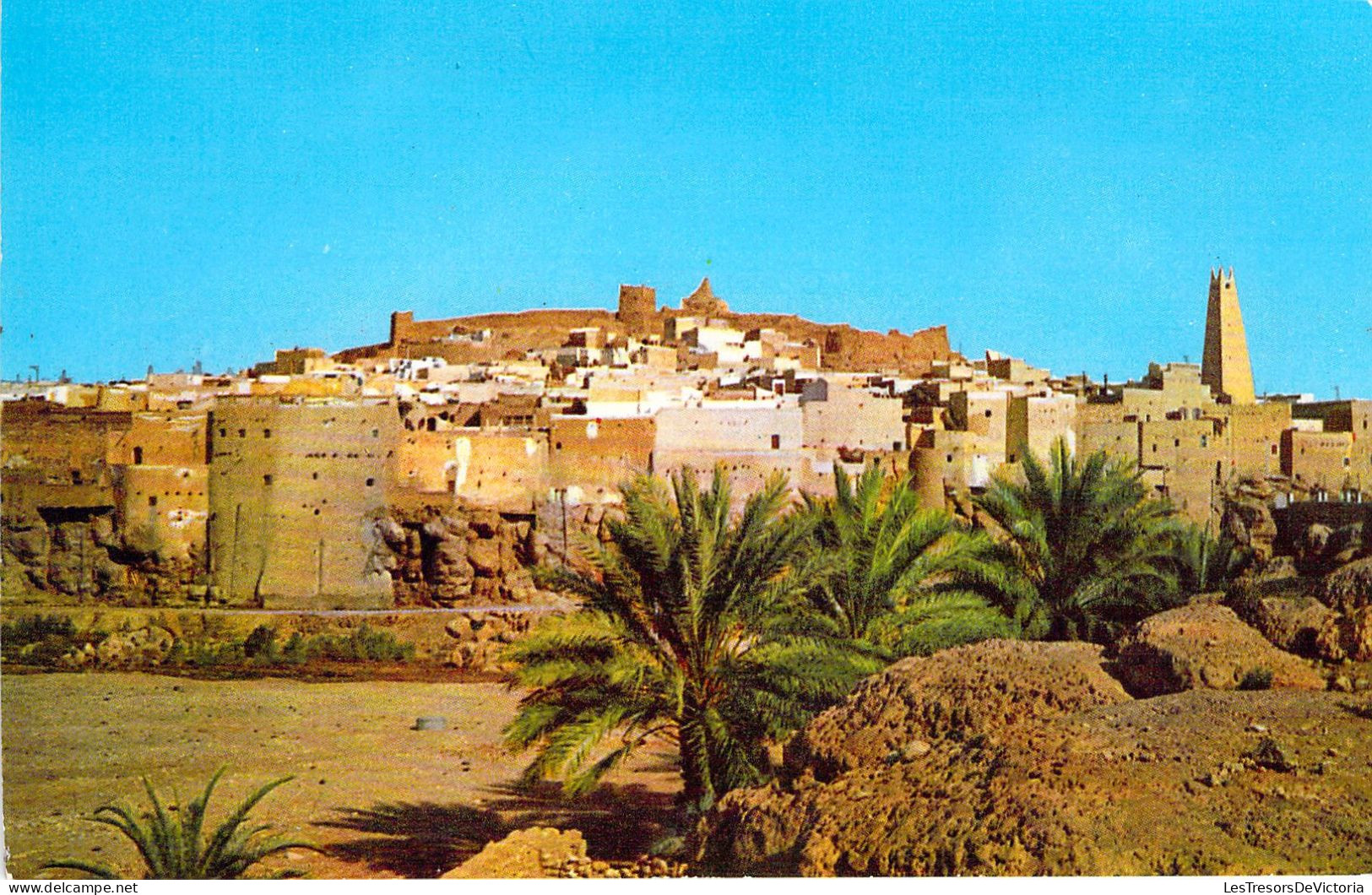 ALGERIE - BOUNOURA - Vue Générale - Carte Postale Ancienne - Other & Unclassified