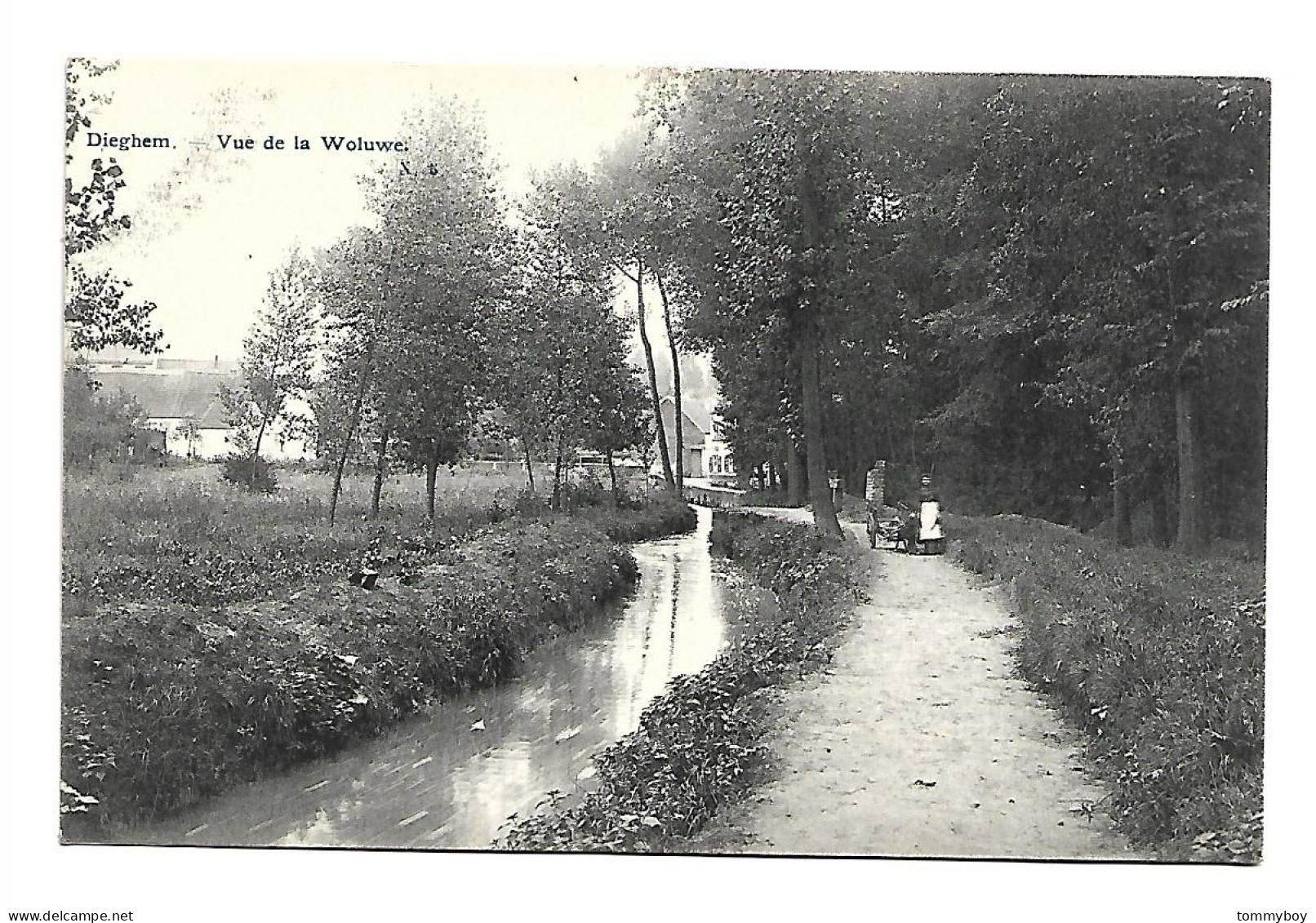 CPA Dieghem - Vue De La Woluwe - Diegem