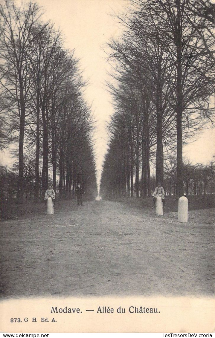 BELGIQUE - MODAVE - Allée Du Château - Carte Postale Ancienne - Modave