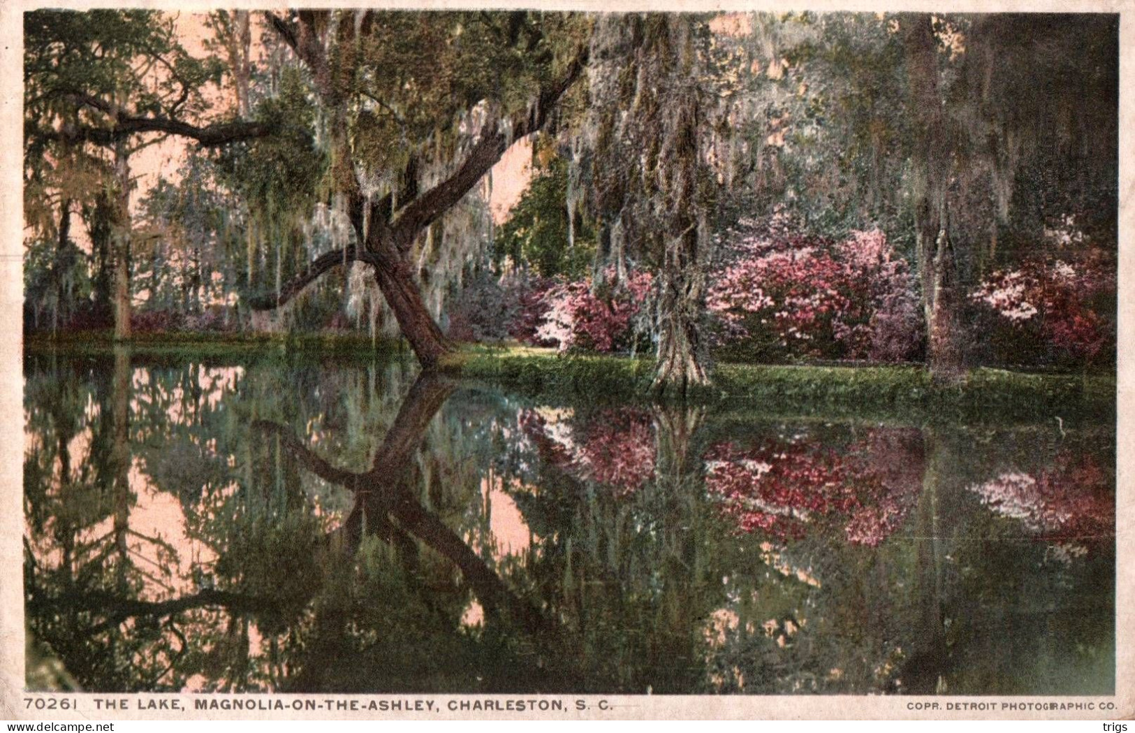 Charleston - The Lake, Magnolia On The Ashley - Charleston