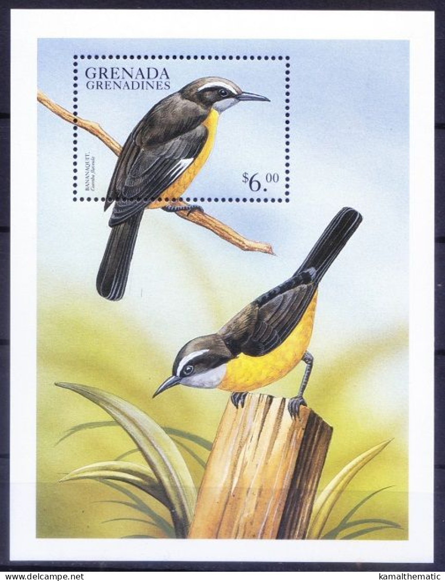 Grenada Grenadines 1999 MNH MS, Bananaquit, Birds, New World Sparrows - Mussen