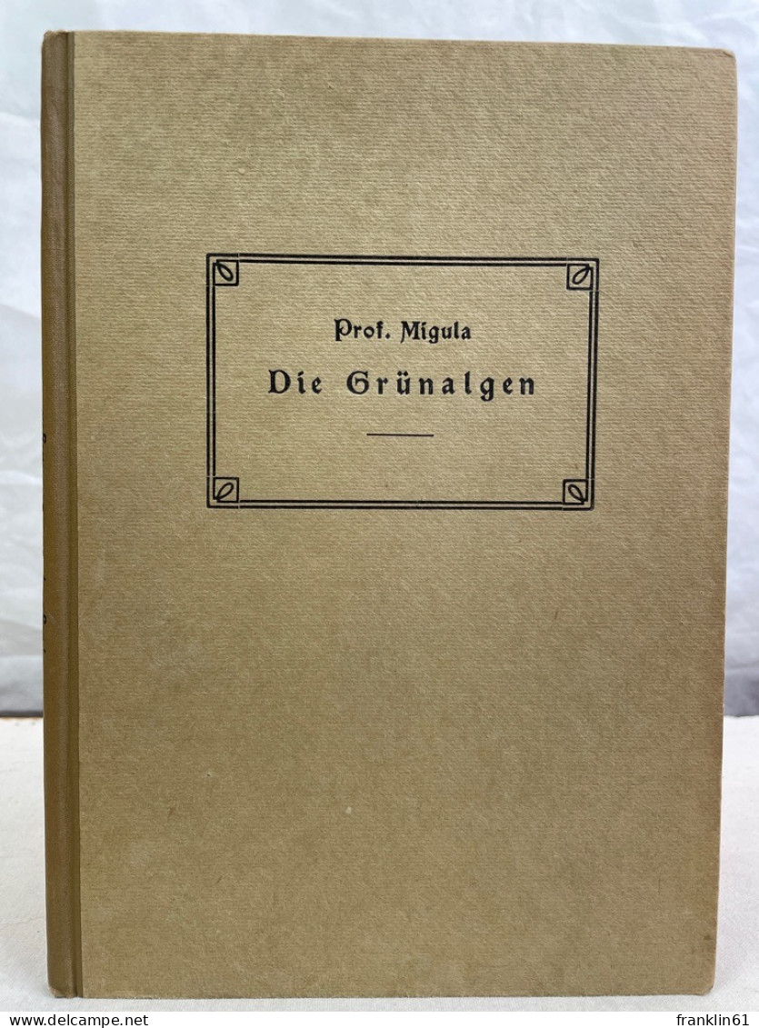 Die Grünalgen : Ein Hilfsbuch F. Anfänger Bei D. Bestimmung D. Am Häufigsten Vorkommenden Arten. - Tierwelt