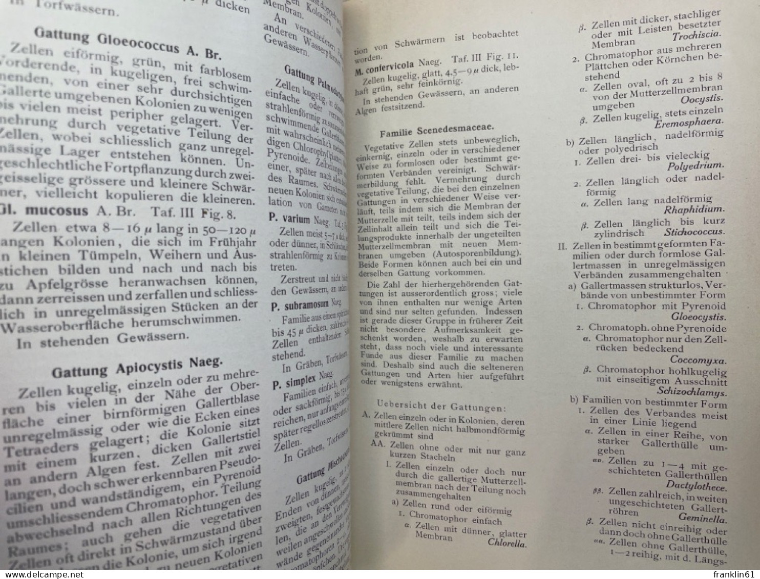 Die Grünalgen : Ein Hilfsbuch f. Anfänger bei d. Bestimmung d. am häufigsten vorkommenden Arten.