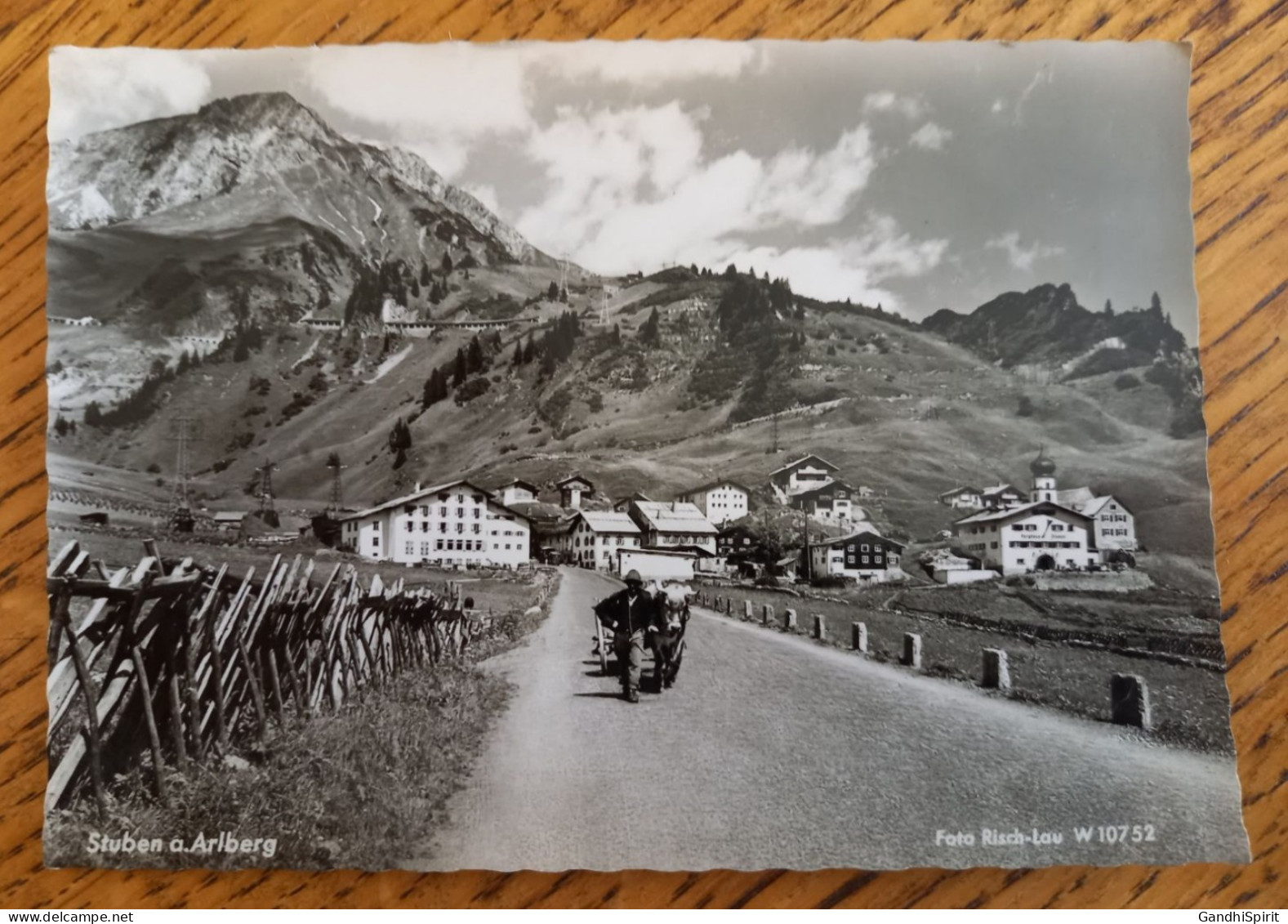 Stuben A. Arlberg - Ankuppeln, Ochse Anhängen - Attelage, Boeuf Attelé - CPSM GF - Stuben