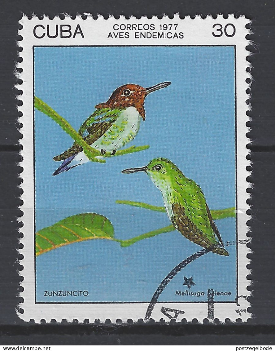 Cuba Used ; Kolibri Honeybird Colibri Vogel Bird Ave Oiseau - Kolibries