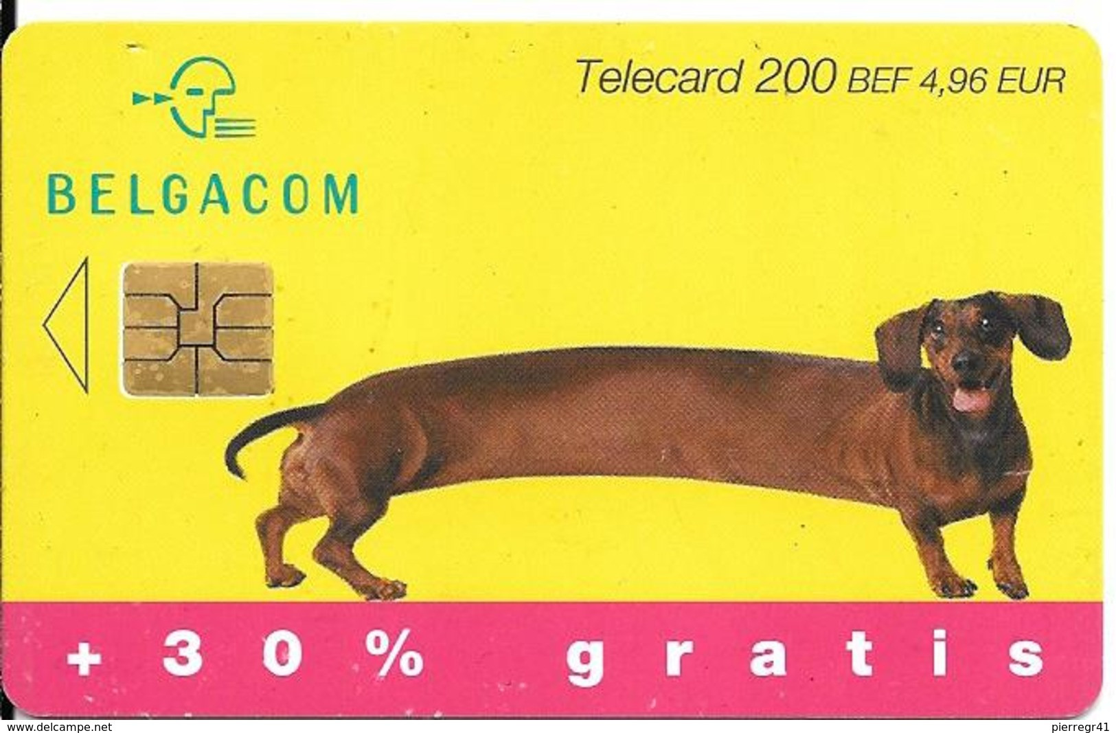 CARTE-PUCE-BELGIQUE-200 BEF/4,96€-CHIEN-BASSET-UTILISE-TBE - Chiens