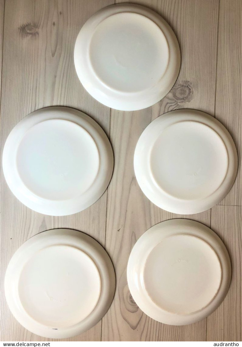 5 Assiettes De Collection MALABAR En Opaline Sovirel France 60's - Piatti