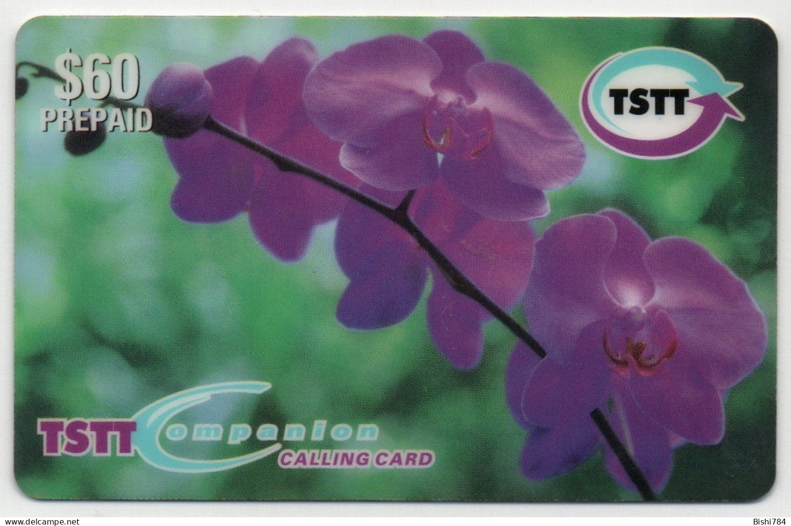 Trinidad & Tobago - Purple Flowers (Orchids) - Trinité & Tobago