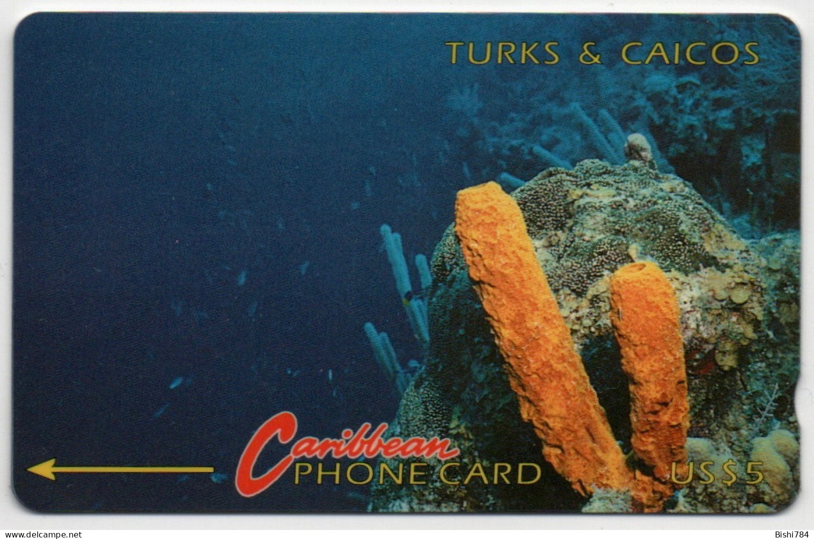 Turks & Caicos - Yellow Tube Sponge - 1CTCB - Turks And Caicos Islands