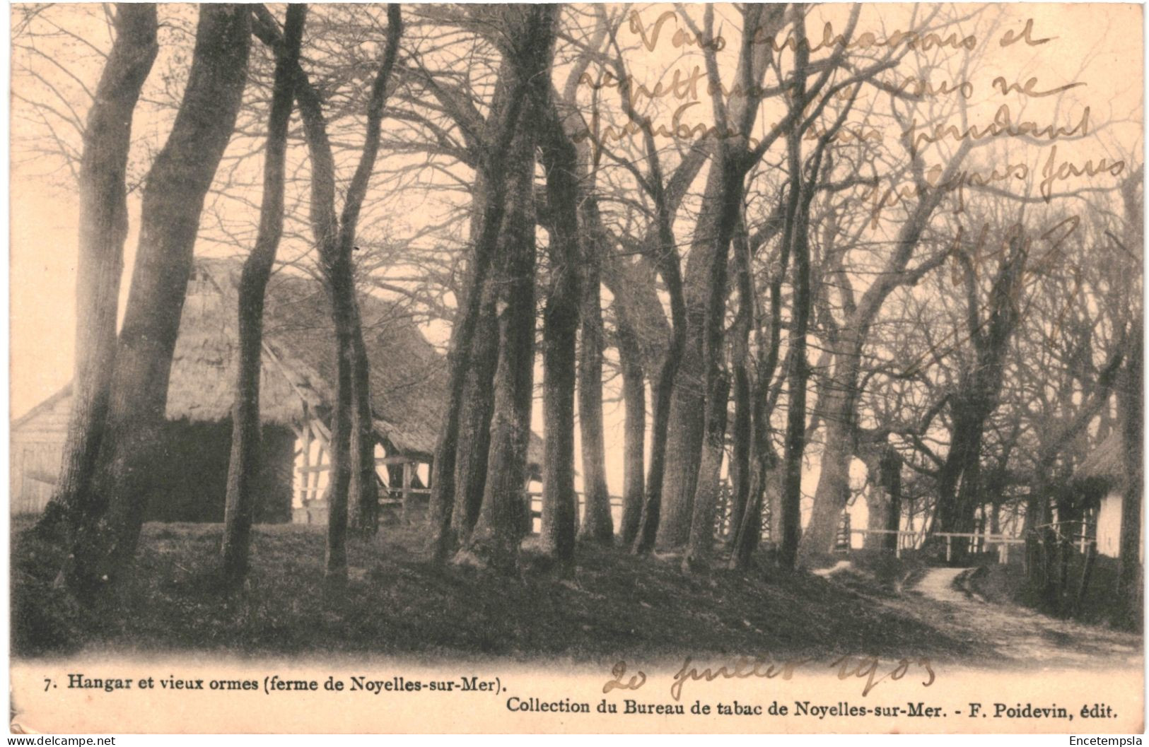 CPA Carte Postale  France Noyelles-sur-Mer Hangar Et Vieux Ormes 1903  VM67723 - Noyelles-sur-Mer