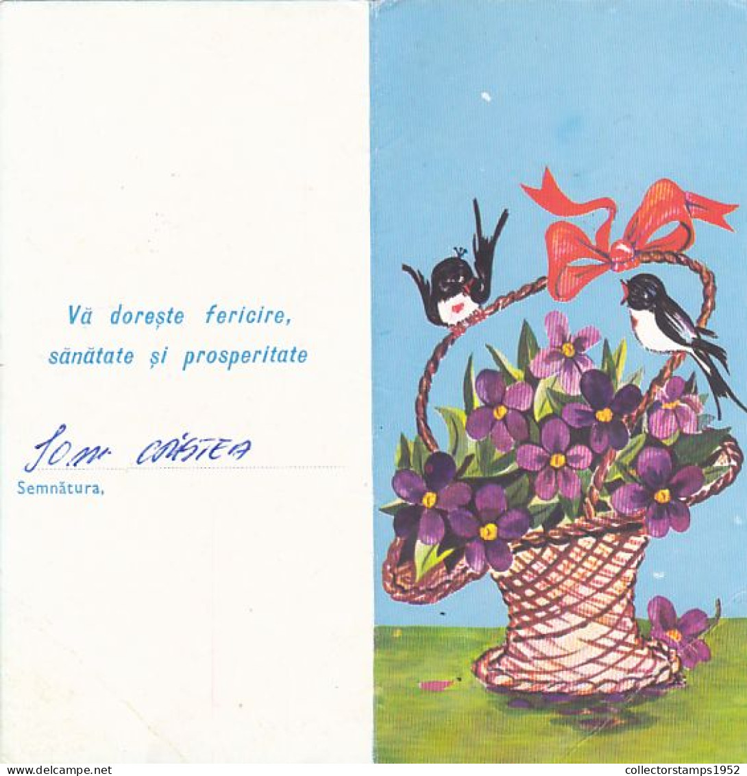 SWALLOWS, VIOLETS FLOWERS, BASKET, LUXURY TELEGRAM, TELEGRAPH, 1983, ROMANIA - Telegraphenmarken