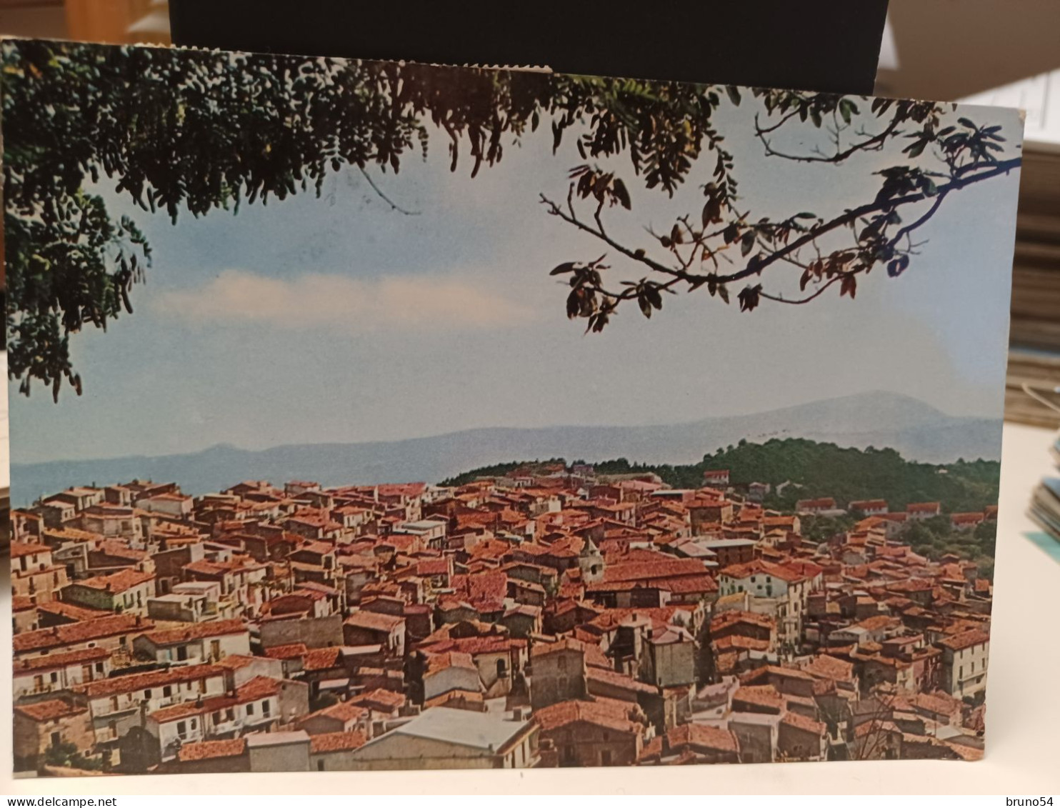 Cartolina Savelli Provincia Crotone Panorama , Anni 70 - Crotone