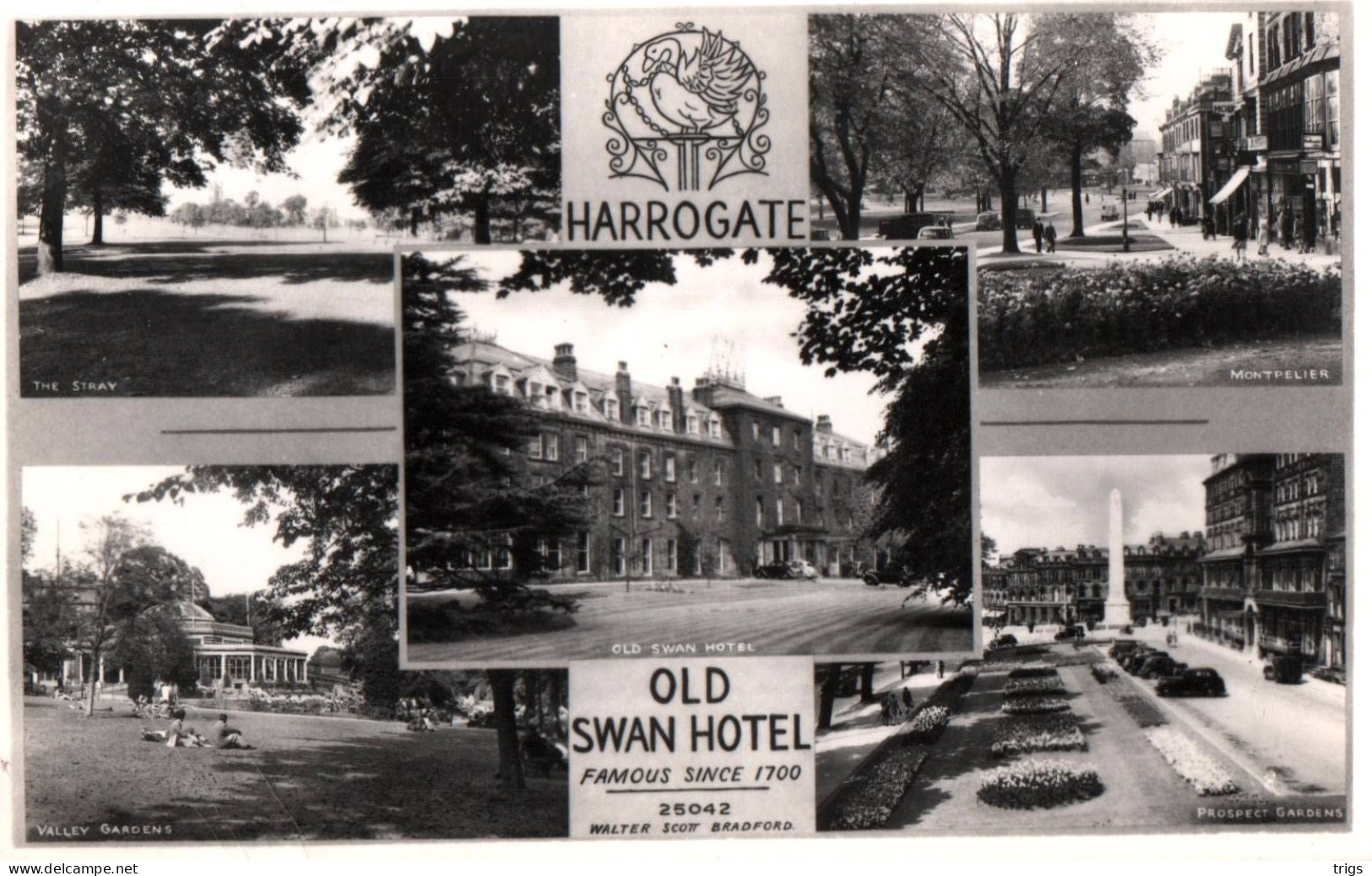 Harrogate - "Old Swan Hotel" - Harrogate