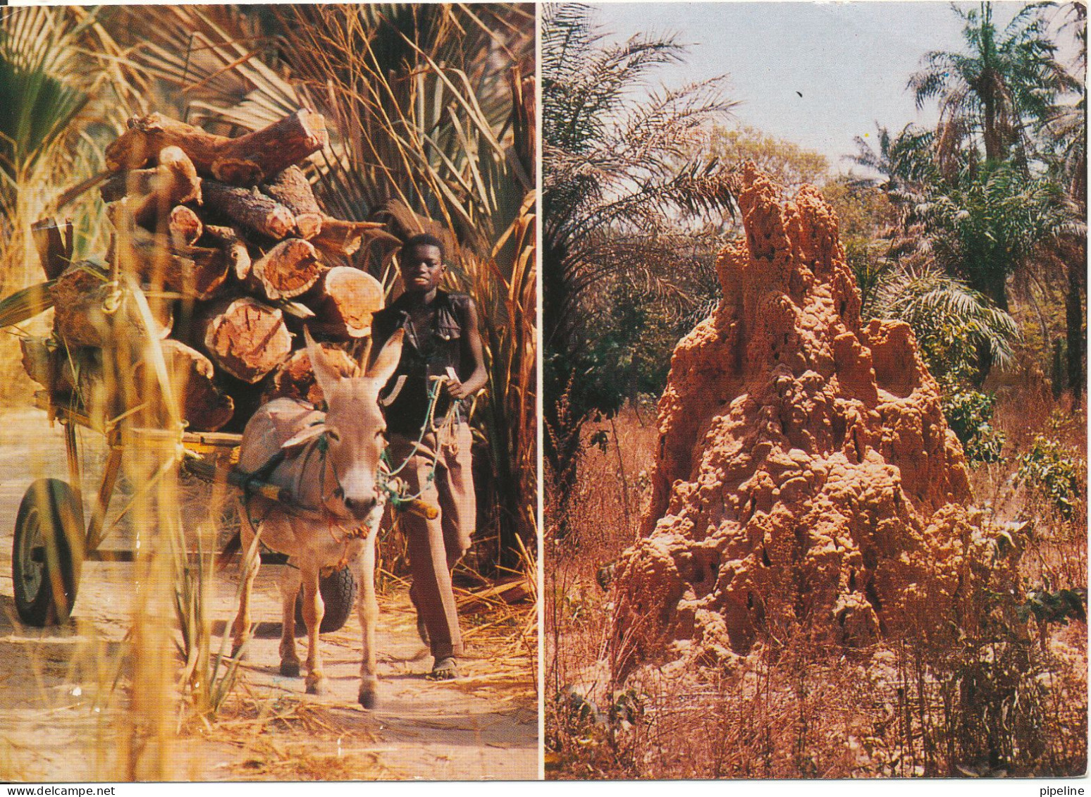 Gambia Postcard Sent To Denmark 18-1-1993 (Senegal The Gambia West Africa) - Gambie