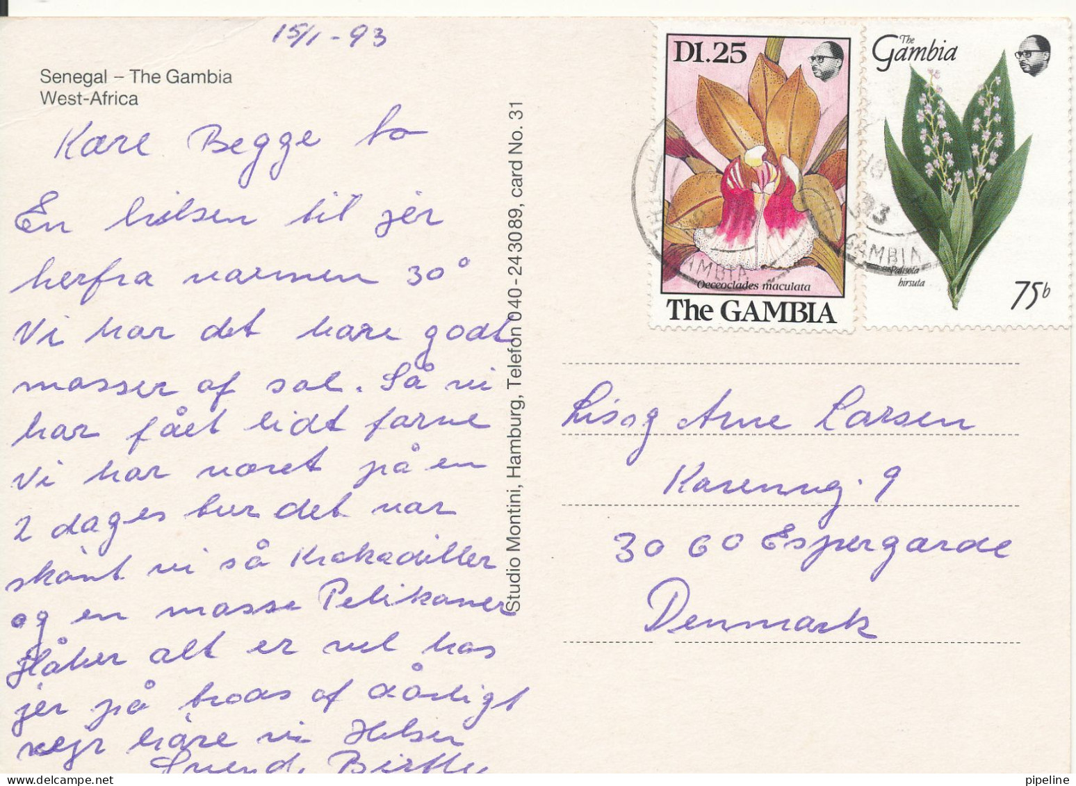 Gambia Postcard Sent To Denmark 18-1-1993 (Senegal The Gambia West Africa) - Gambie