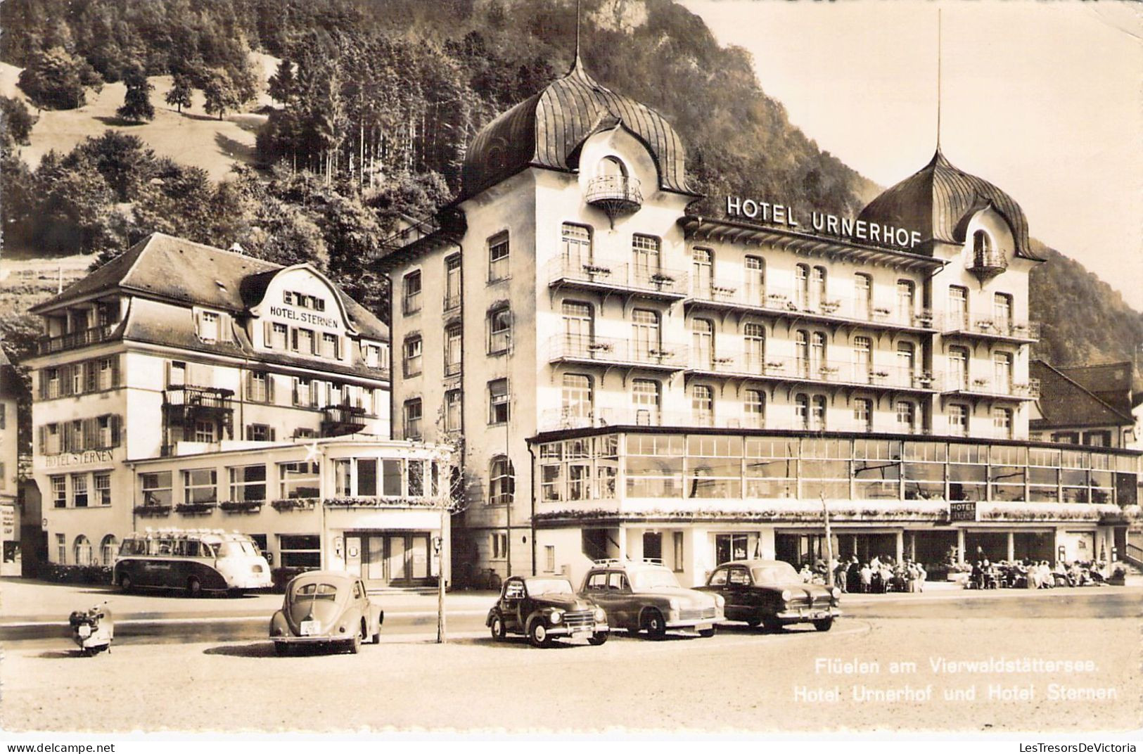 SUISSE -  Flüelen Am Vierwaldstättersee - Hotel Urnerhof Und Sternen - Carte Postale Ancienne - Wald