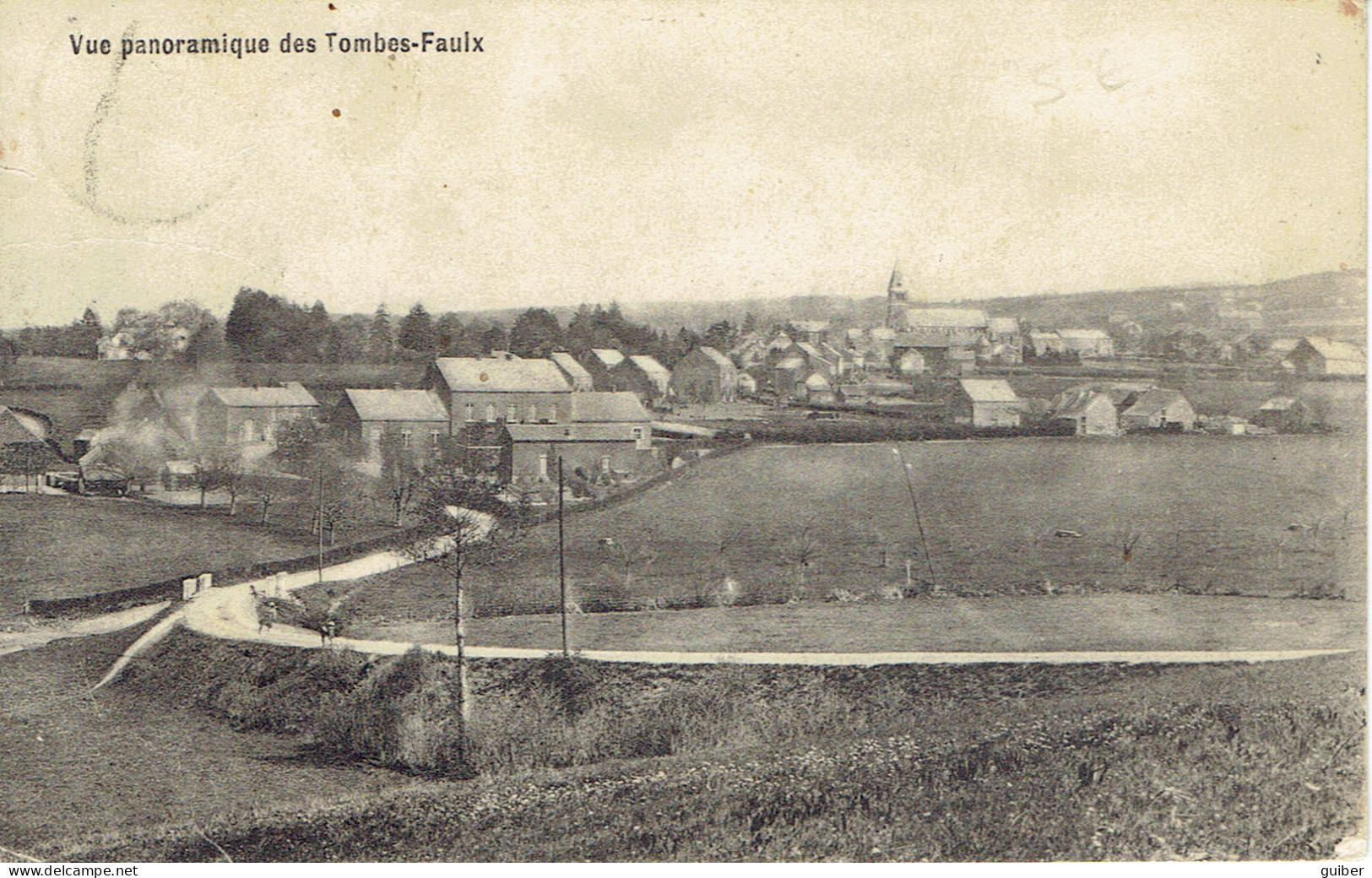 Gesves Vue Panoramique Des Tombes  Faulx  Edit. Groyne Nameche 1911 - Gesves