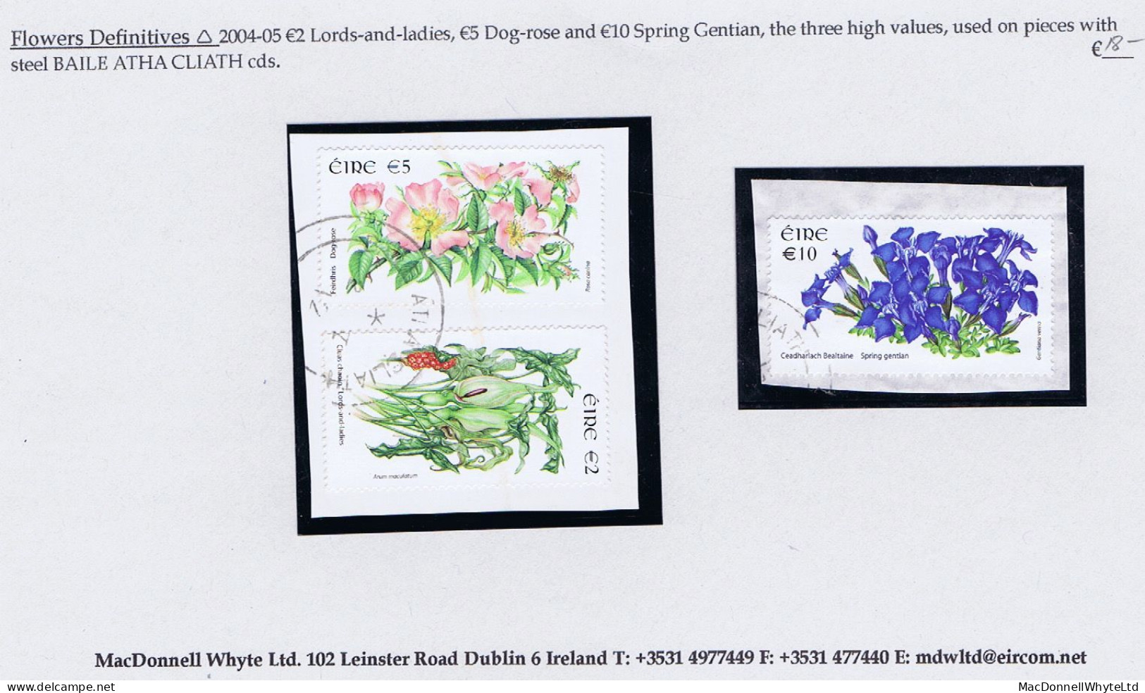 Ireland 2004-05 Flowers Definitives €2 And €5 On Piece, Also €10 On Piece, All With Neat Dublin Cds - Used Stamps