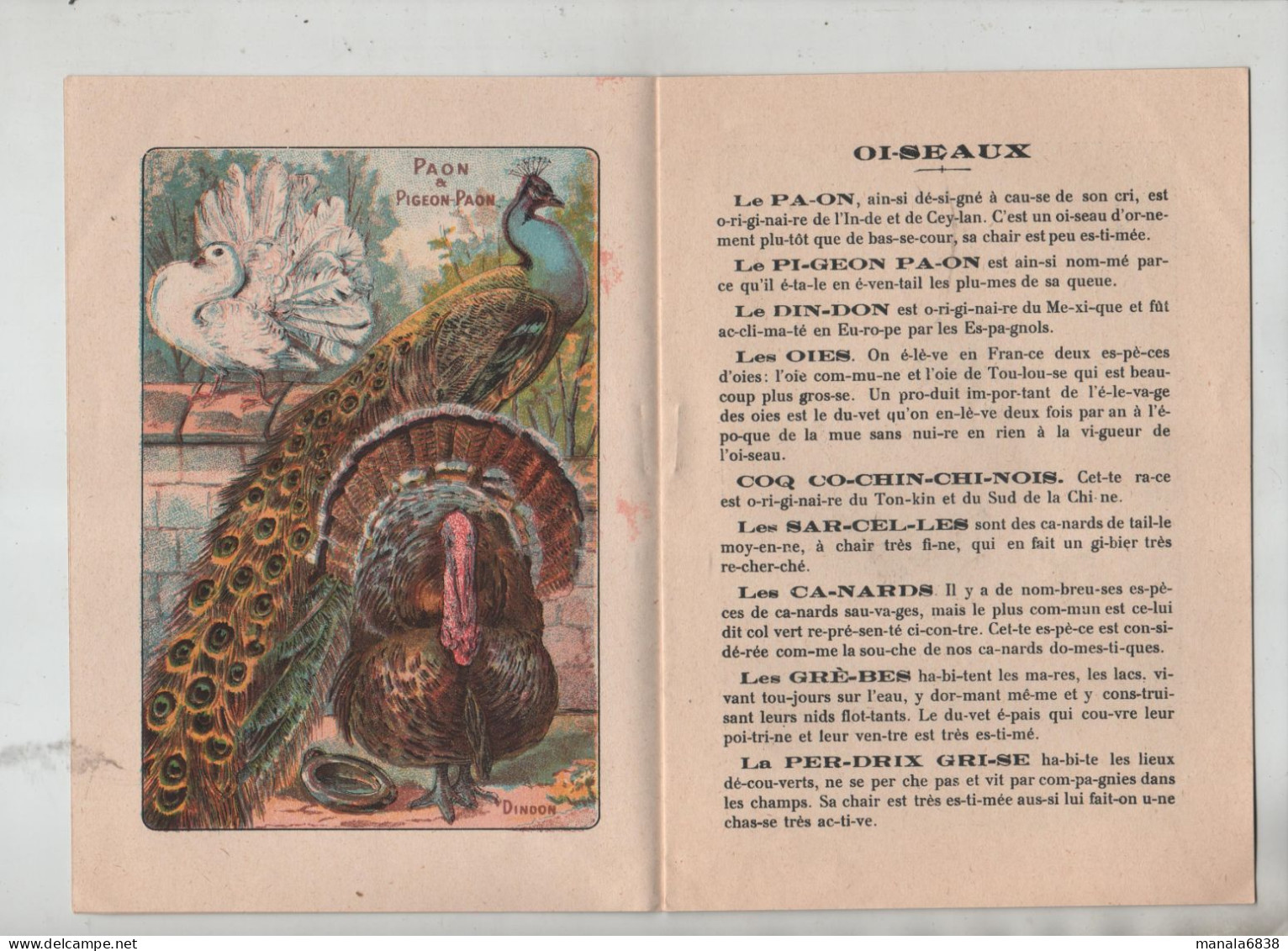 Alphabet Syllabique Oiseaux Et Reptiles Imagerie D'Epinal Pellerin - Non Classés
