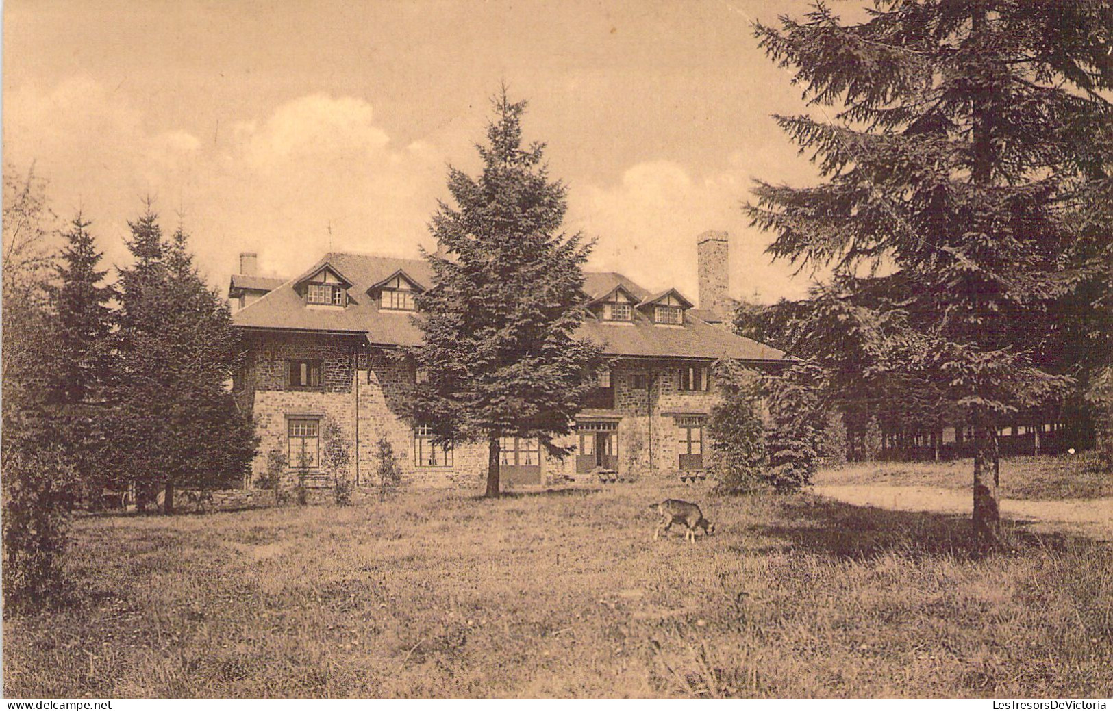 BELGIQUE - SAINT HUBERT - Monastère ND D'Hurtebise - Hôtellerie - Carte Postale Ancienne - Saint-Hubert