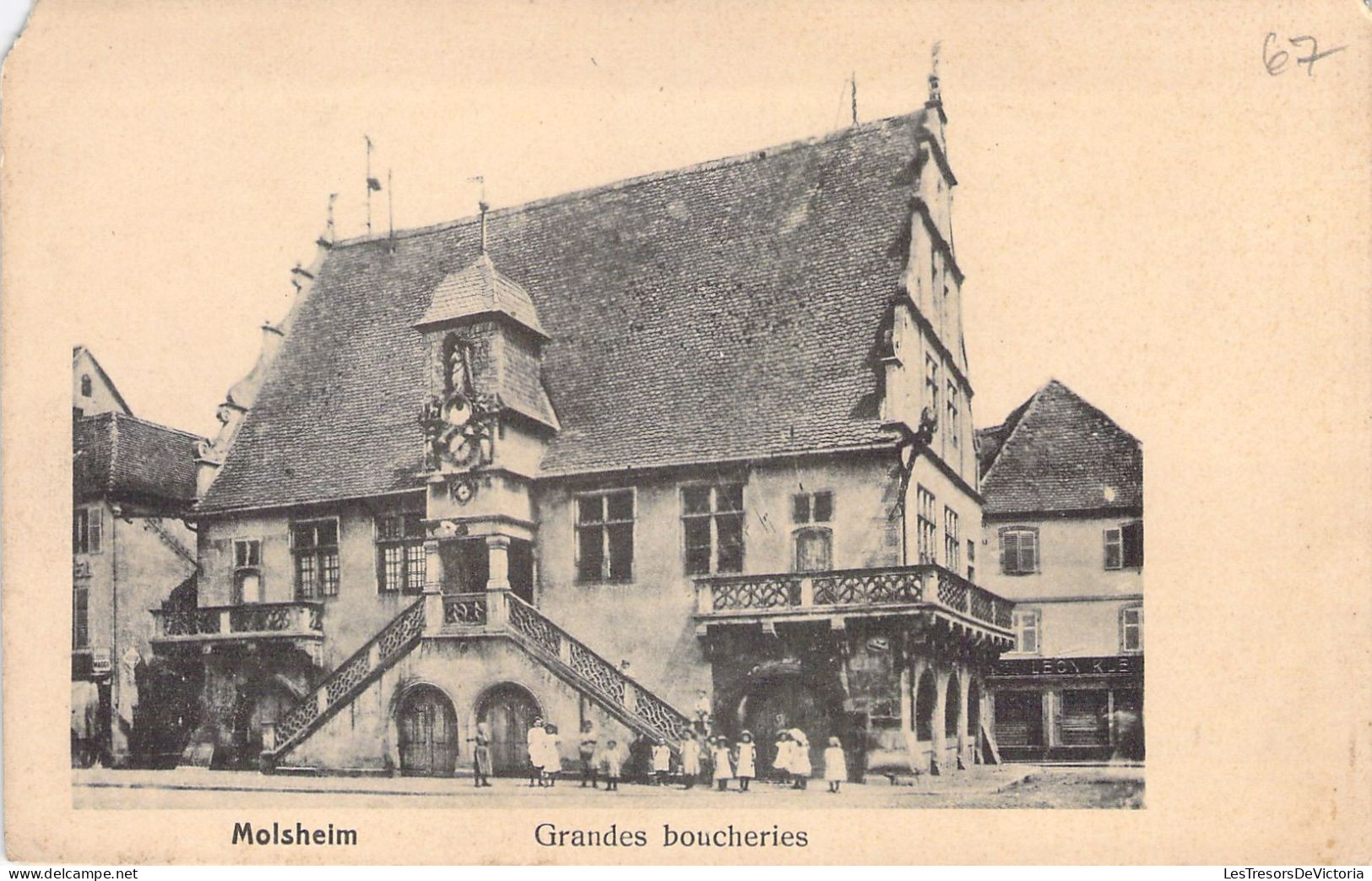 FRANCE - 67 - MOLSHEIM - Grandes Boucheries - Carte Postale Ancienne - Molsheim