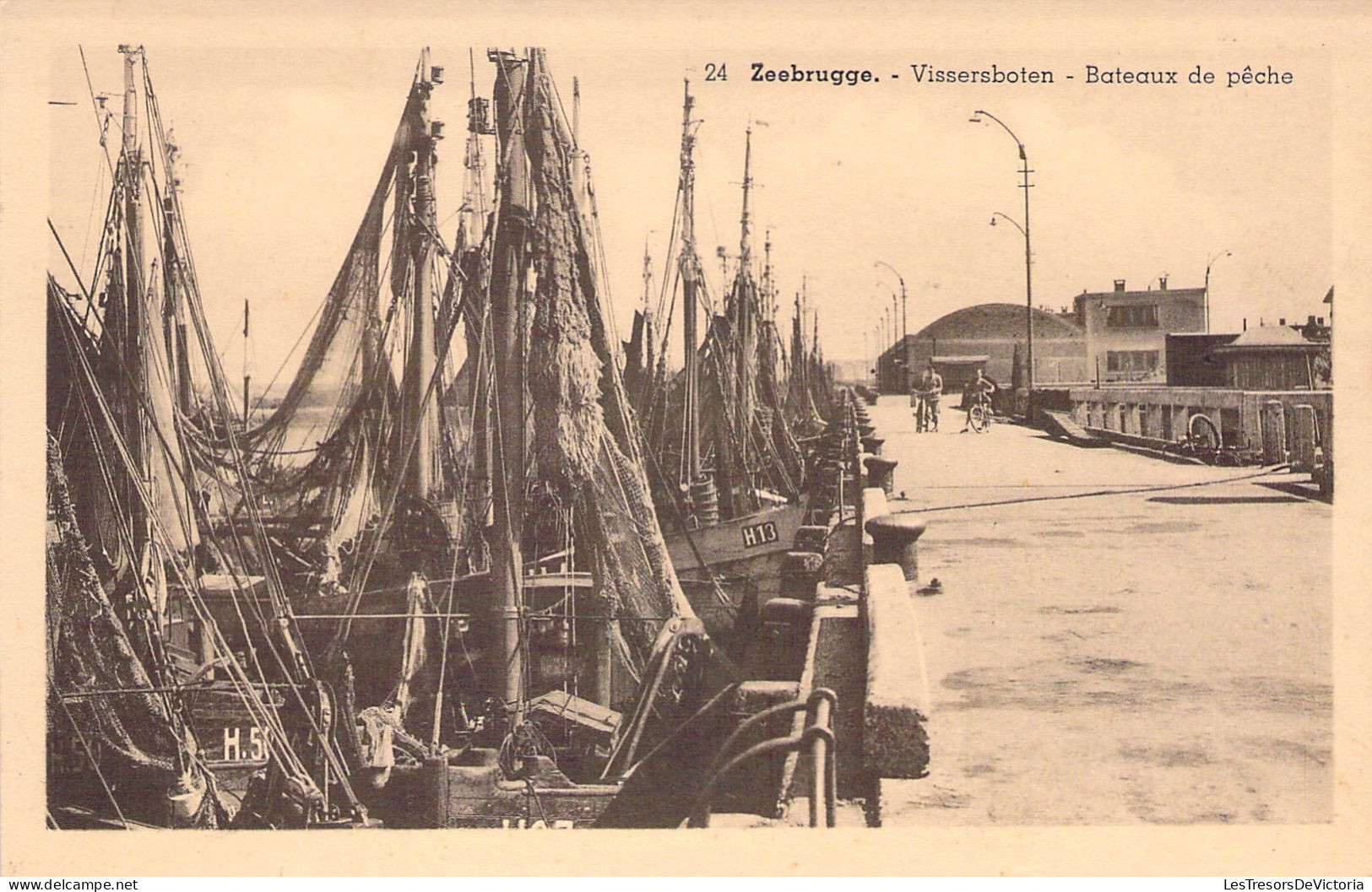 BELGIQUE - ZEEBRUGGE - Bateaux De Pêche - Carte Postale Ancienne - Zeebrugge