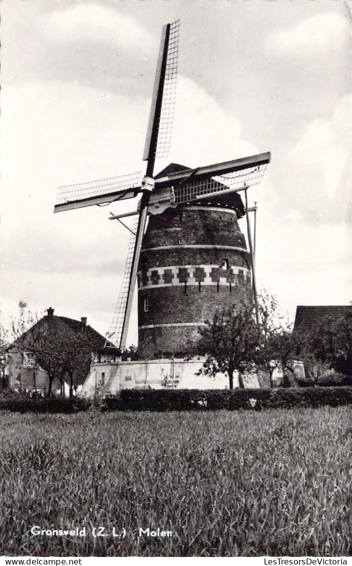 PAYS BAS - Gransweld - Molen - Carte Postale Ancienne - Autres & Non Classés