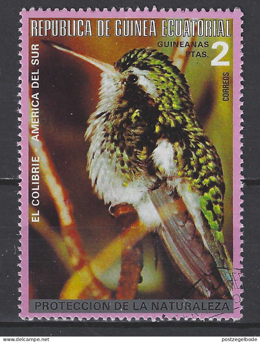 Guinea Ecuatorial Used ; Kolibri Honeybird Colibri Sunbird Vogel Oiseau Ave Vogel Bird - Colibris