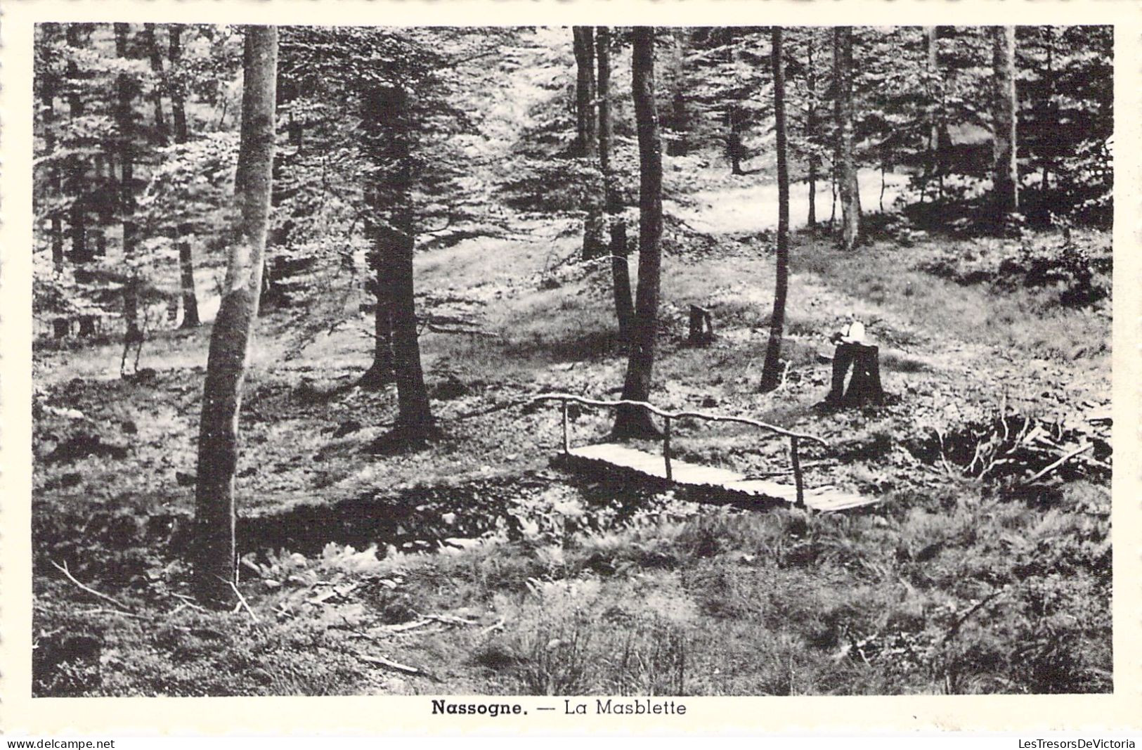 BELGIQUE - NASSOGNE - La Masblette - Carte Postale Ancienne - Nassogne