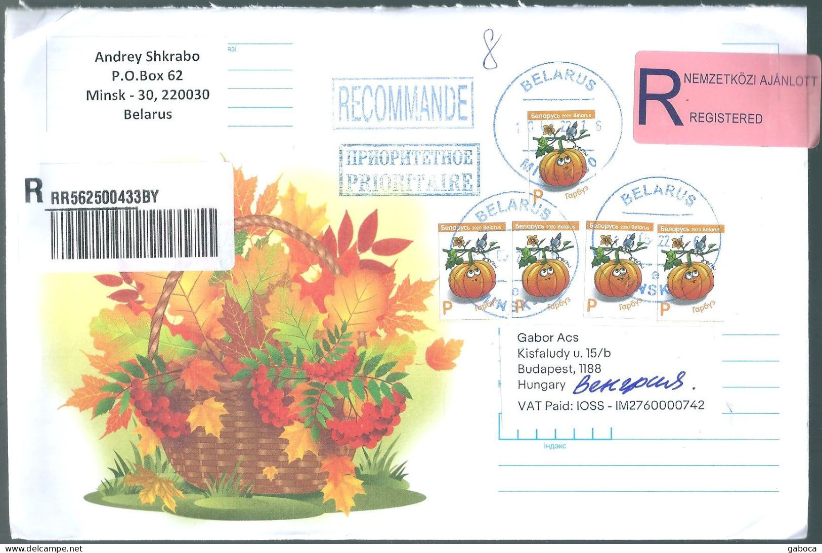 C4218 Belarus Flora Pumpkin Tree Leaf Registered+Priority - Legumbres
