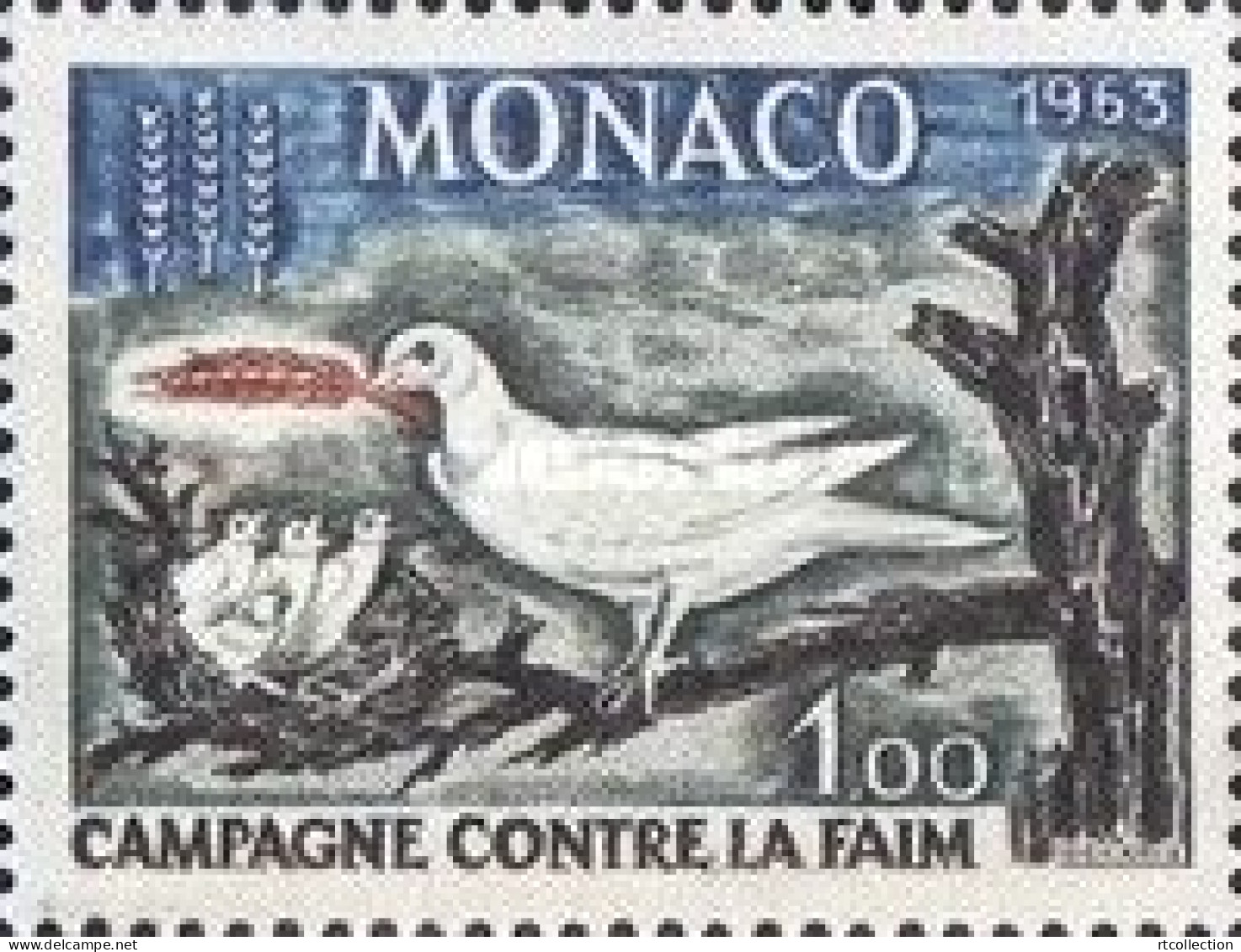 Monaco 1963 One Freedom From Hunger Fauna Birds Pigeons Animals Nature Bird Pigeon Food Stamp MNH - Alimentation