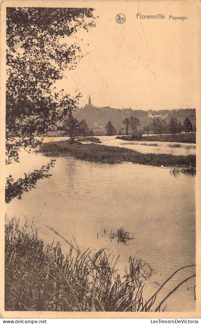 BELGIQUE - Florenville - Paysage - Carte Postale Ancienne - Florenville