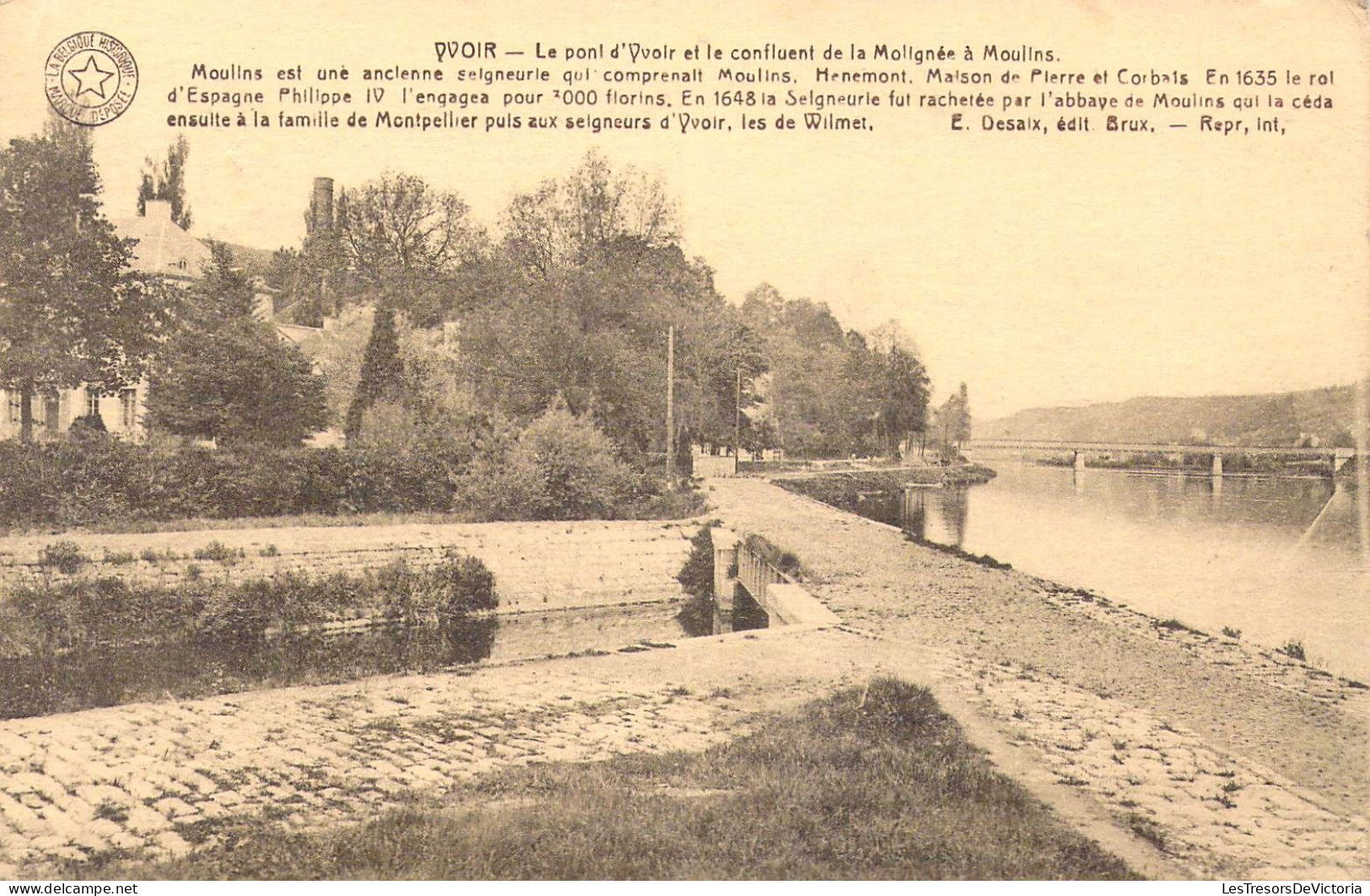 BELGIQUE - Yvoir - Le Pont D'Yvoir Et Le Confluent De La Molignée à Moulins - Carte Postale Ancienne - Yvoir