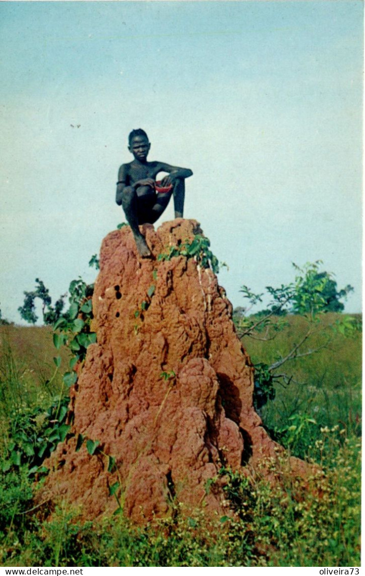 GUINÉ - PORTUGUESA - BISSAU - Monte De Baga-Baga - Guinea-Bissau