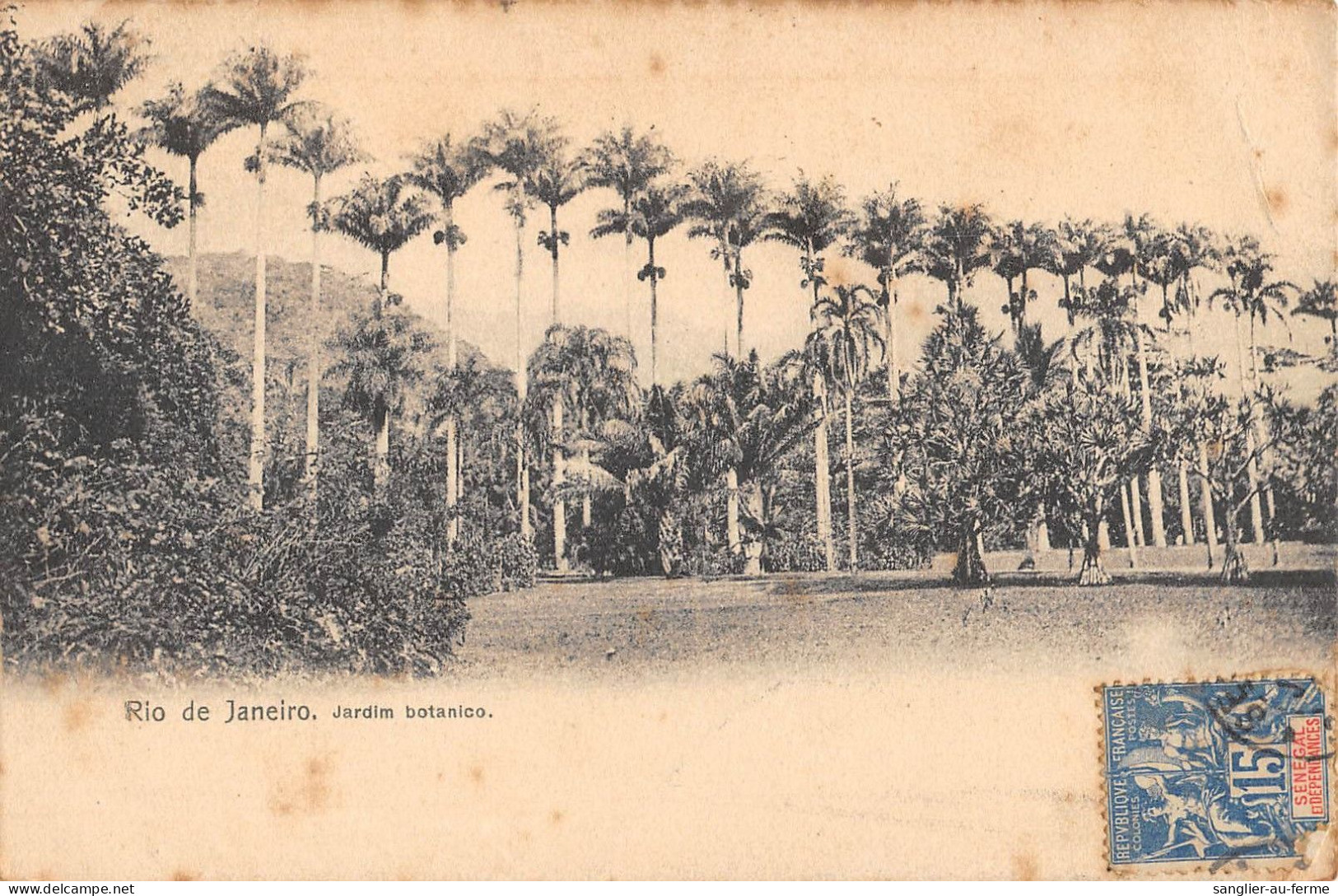 CPA BRESIL RIO DE JANEIRO JARDIM BOTANICO - Autres