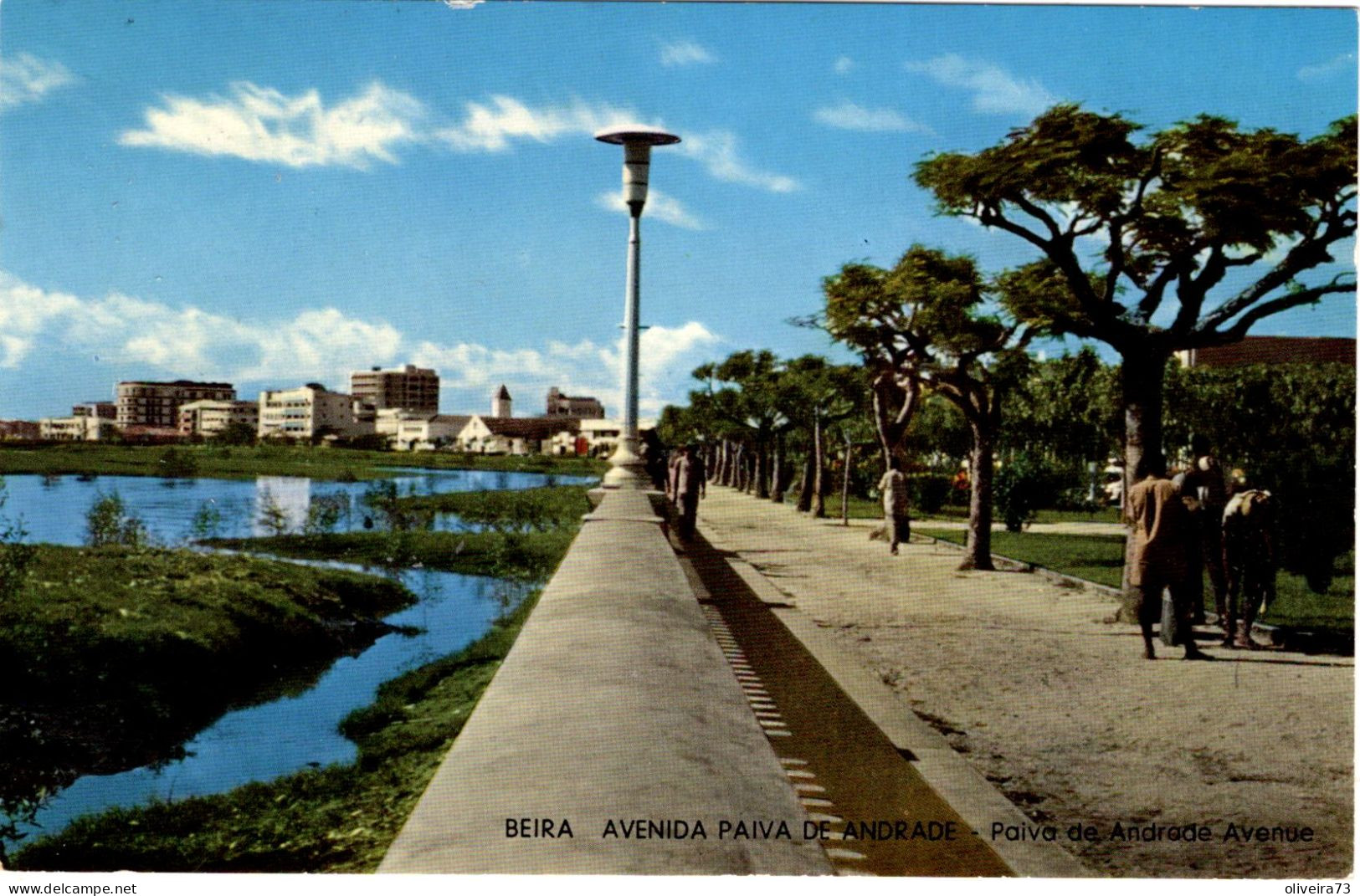 MOÇAMBIQUE - BEIRA - Avenida Paiva De Andrade - Mozambique