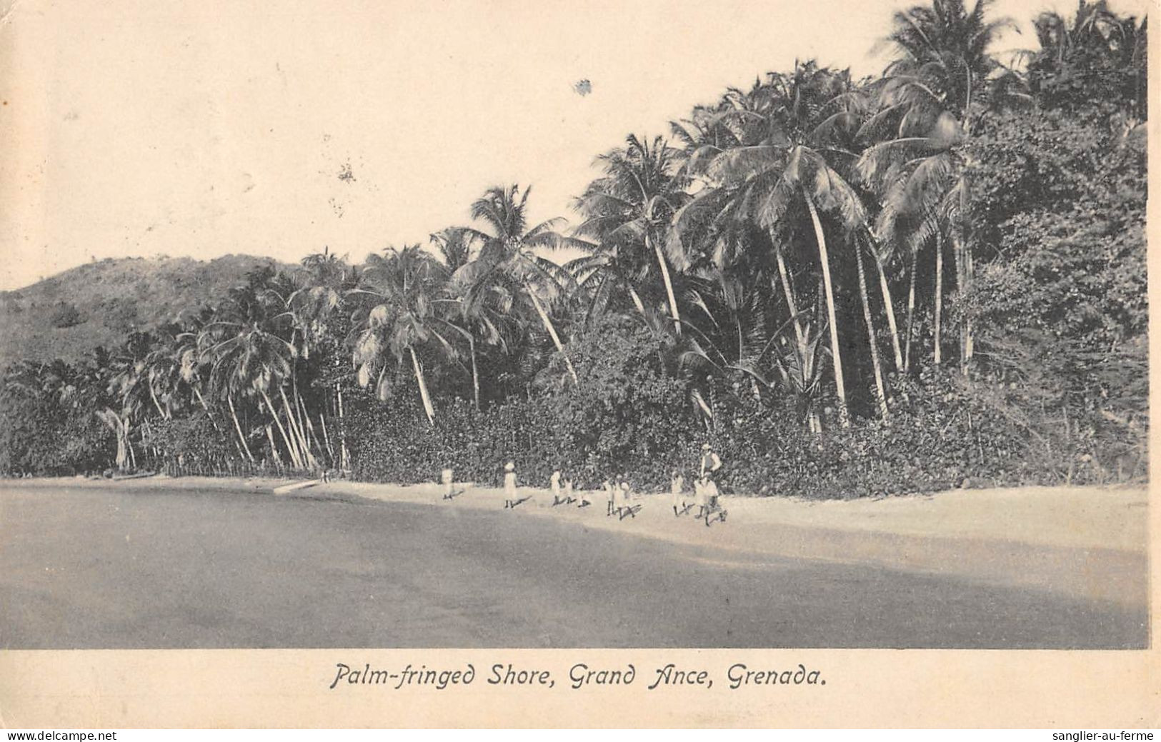 CPA ANTILLES GRENADA ILES GRENADES PALM FRINGED SHORE GRAND ANCE GRENADA - Grenada