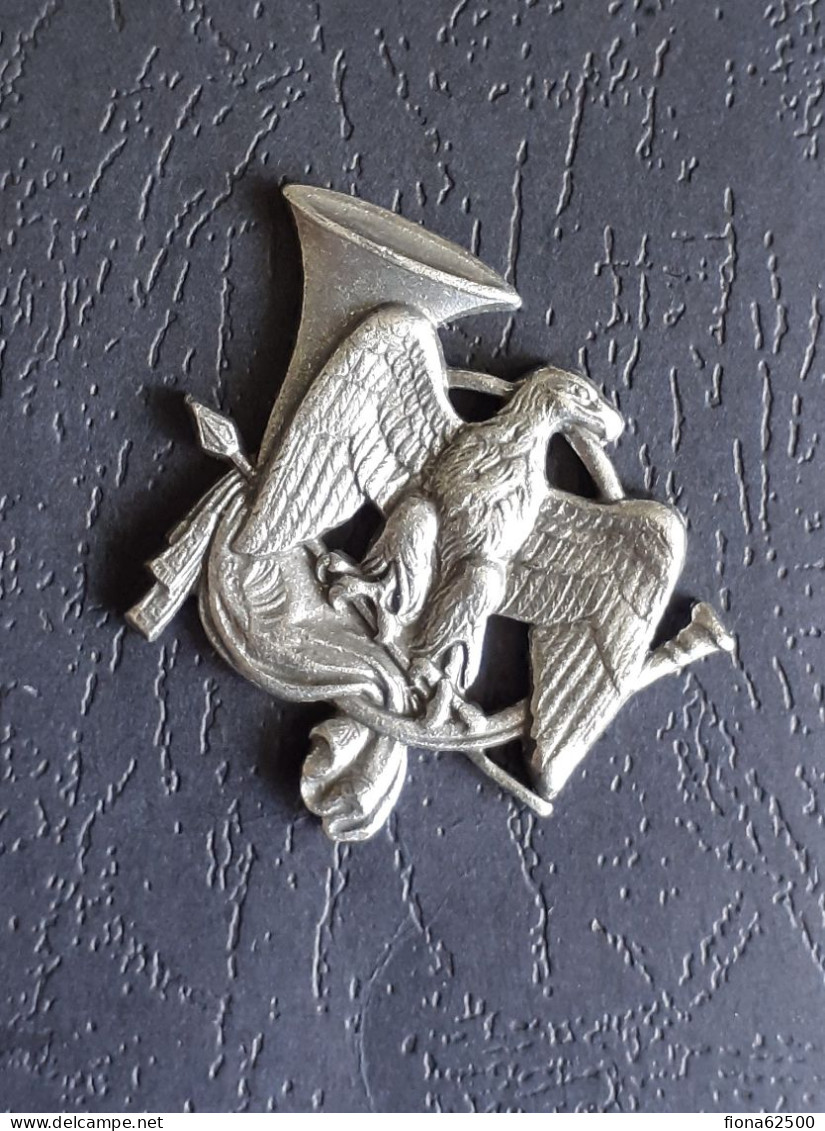 INSIGNE  DU 24éme BATAILLON DE CHASSEURS ALPINS . - Navy