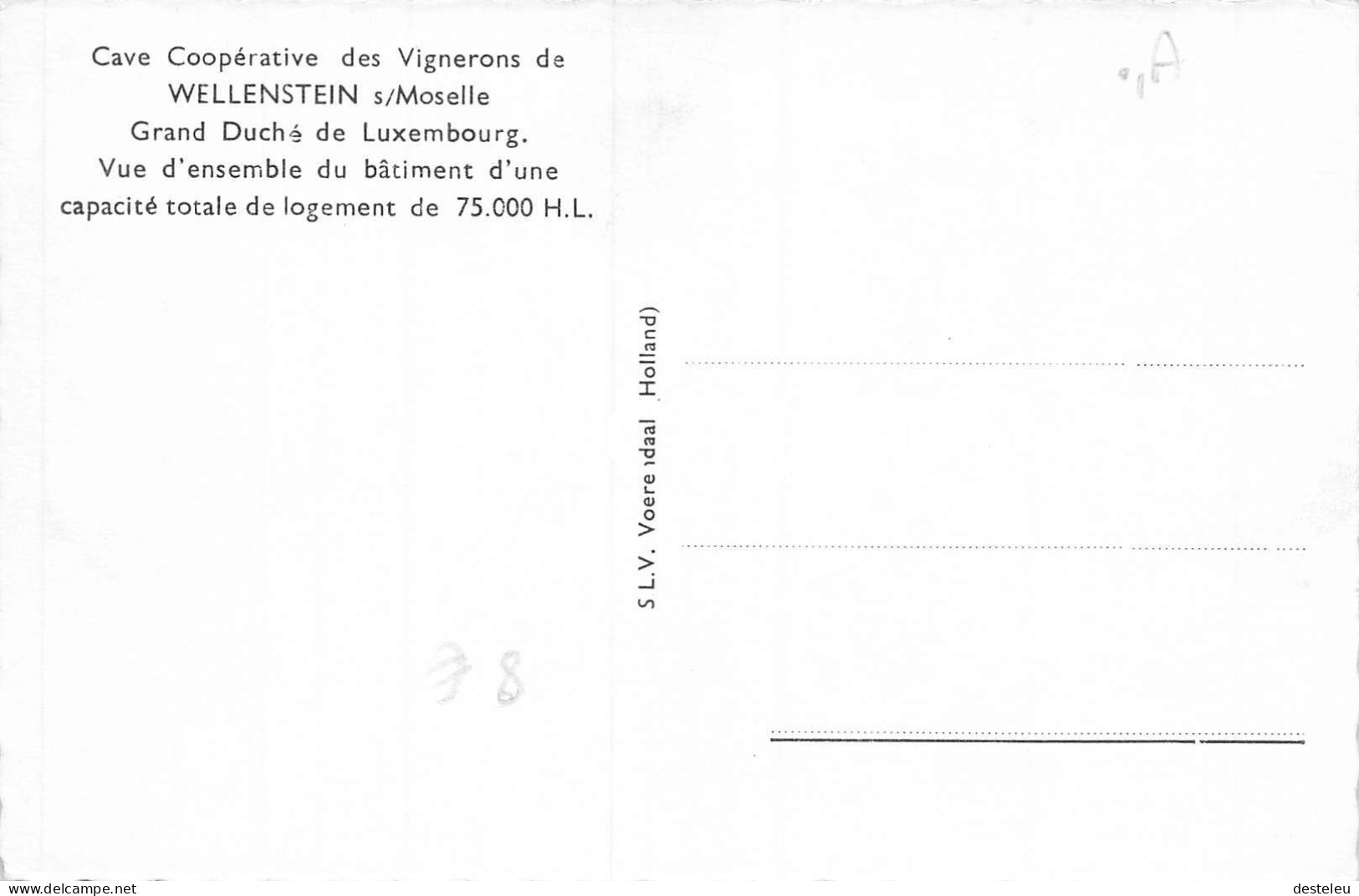 Cave Coopérative Des Vignerons De Wellenstein Sur Moselle - Luxembourg - Remich